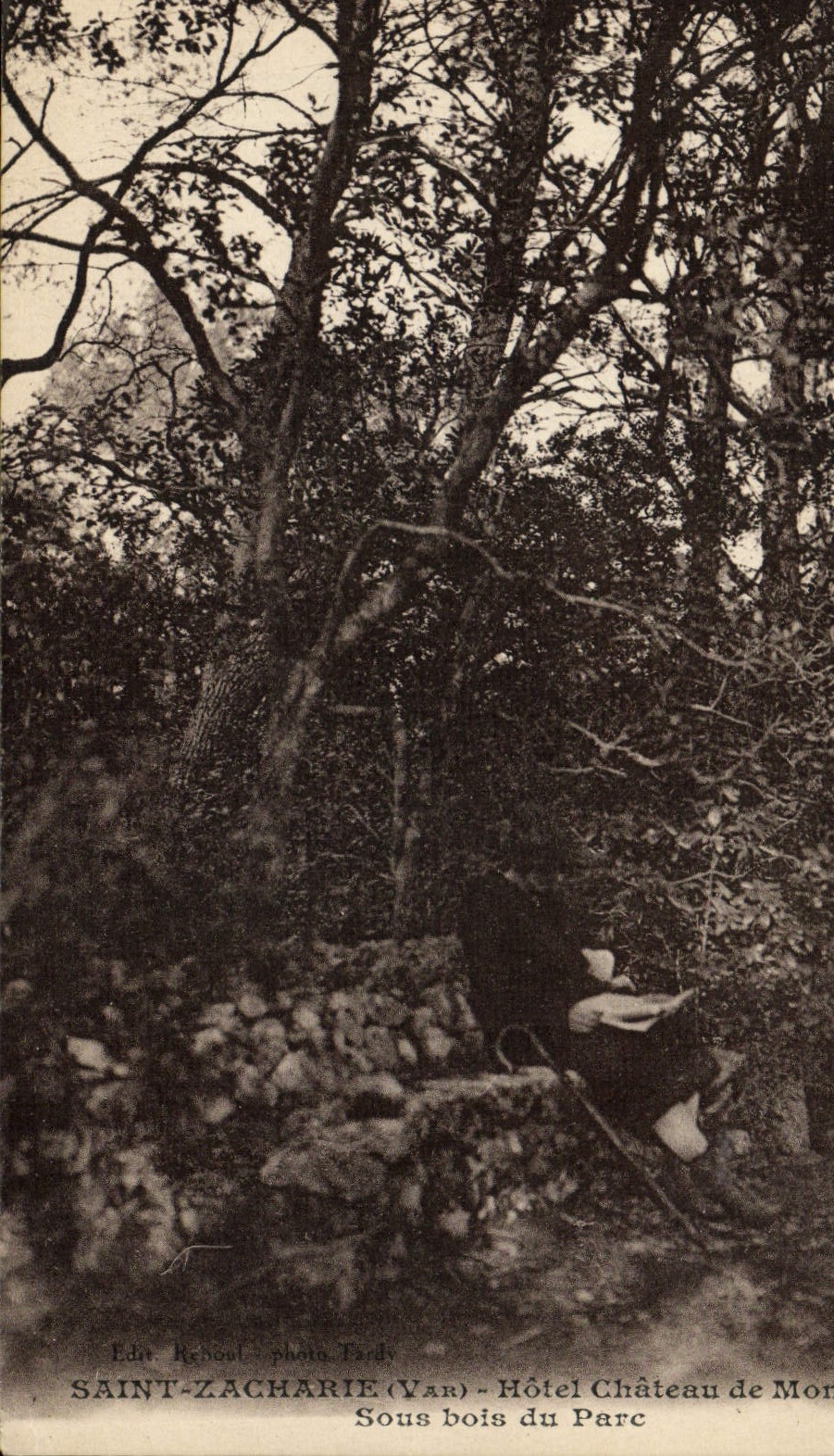 CPA Saint Zacharie Hotel Chateau de Mont Vert Sous bois du parc