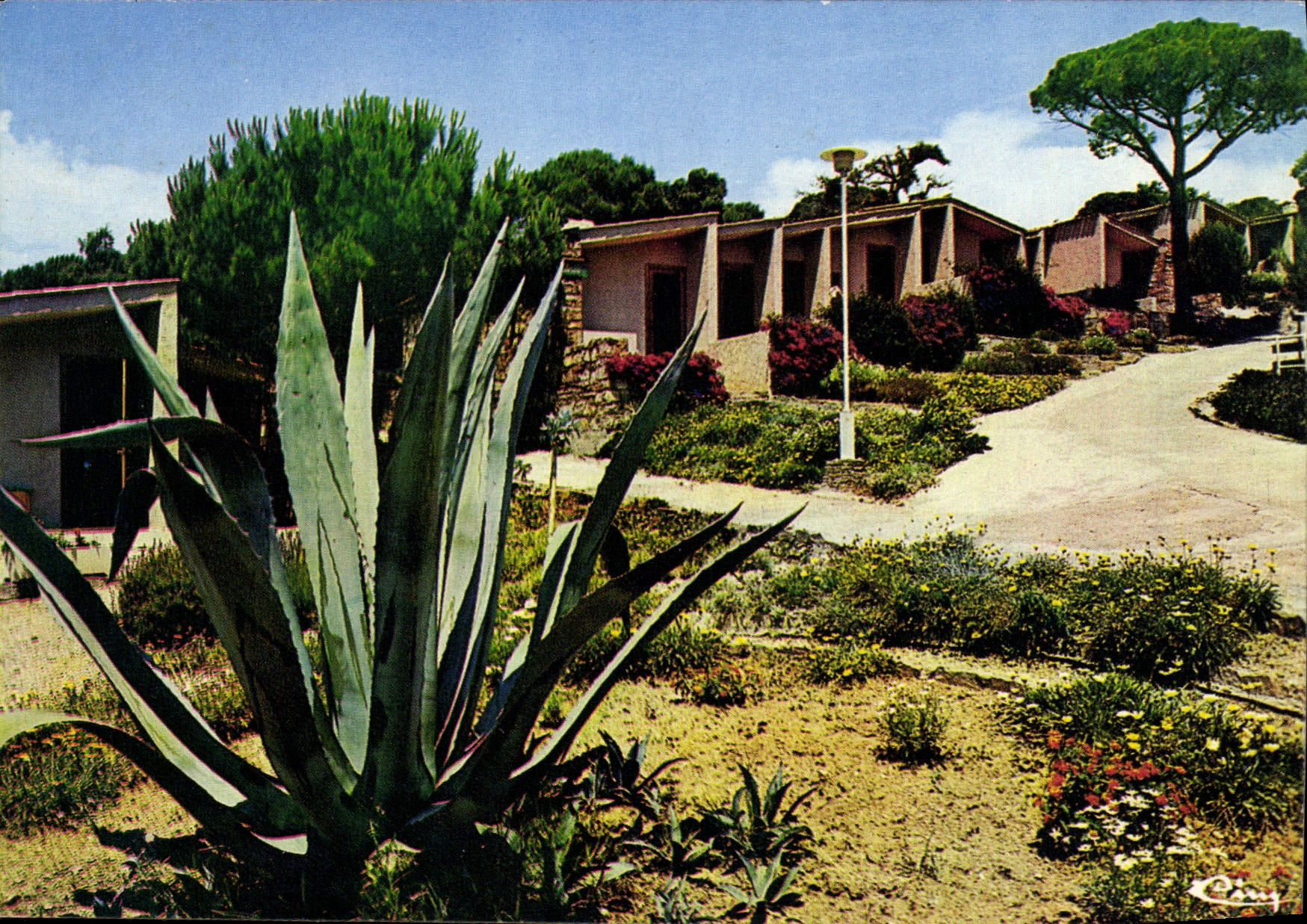 CPM Sainte Maxime Hotle Maxima 2000 Les Bungalows