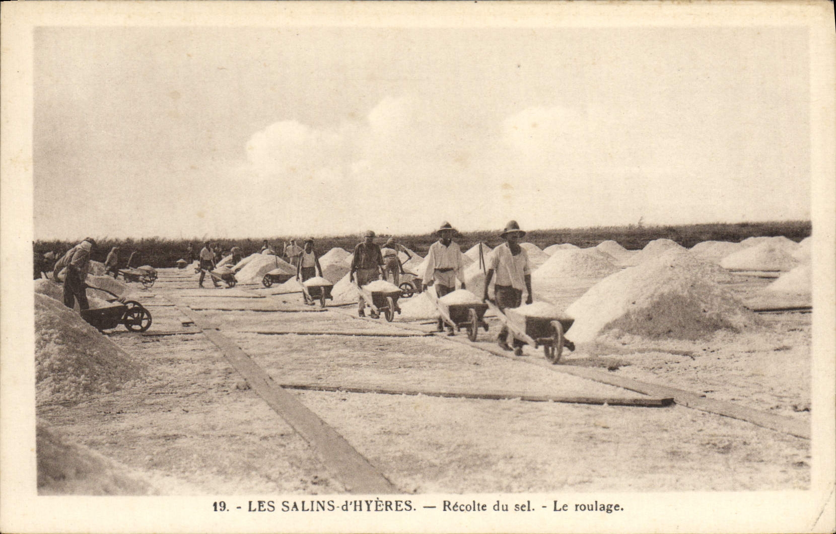 CPA Hyeres Les Sains La Recolte du Scel le roulage 