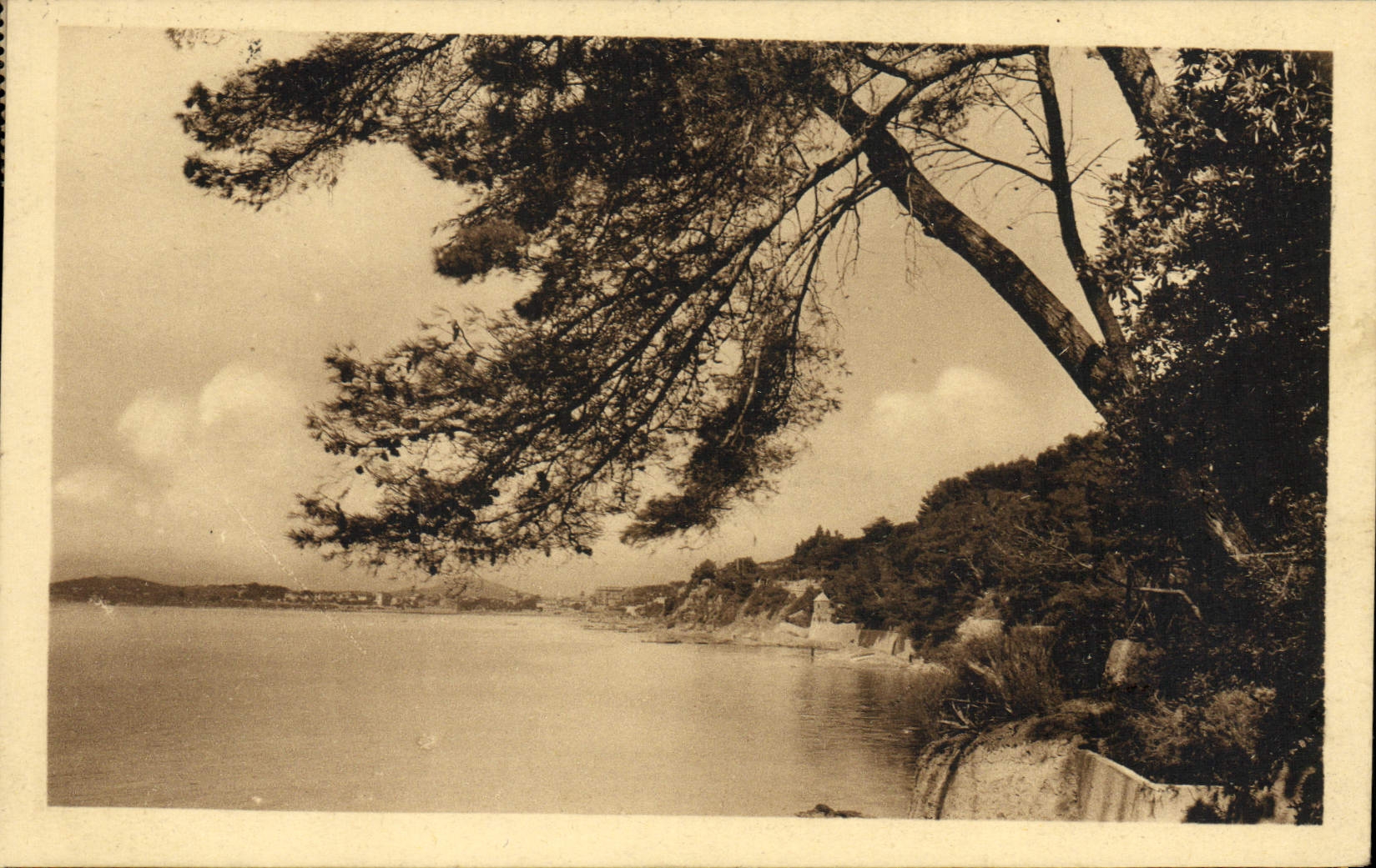 VINTAGE POSTCARD Toulon the Brown Cape Sight of the Beach