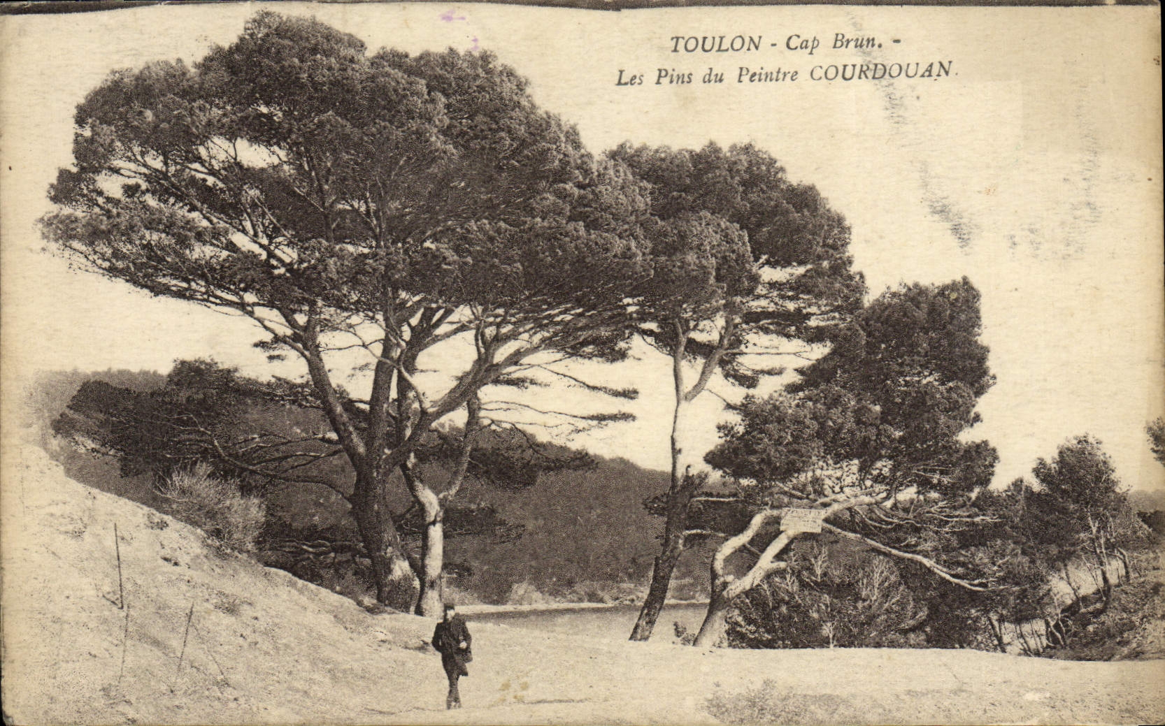 CPA Toulon Cap Brun Les Pins du Peintre Courdouan