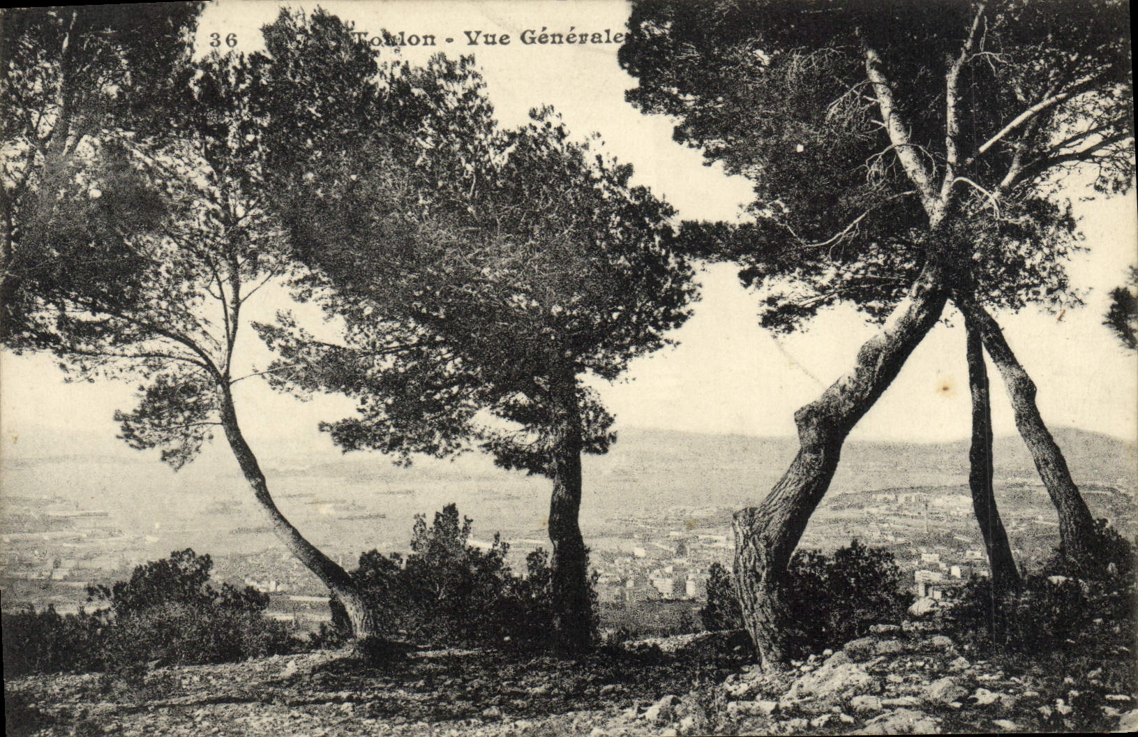 CPA Toulon Vue Generale 