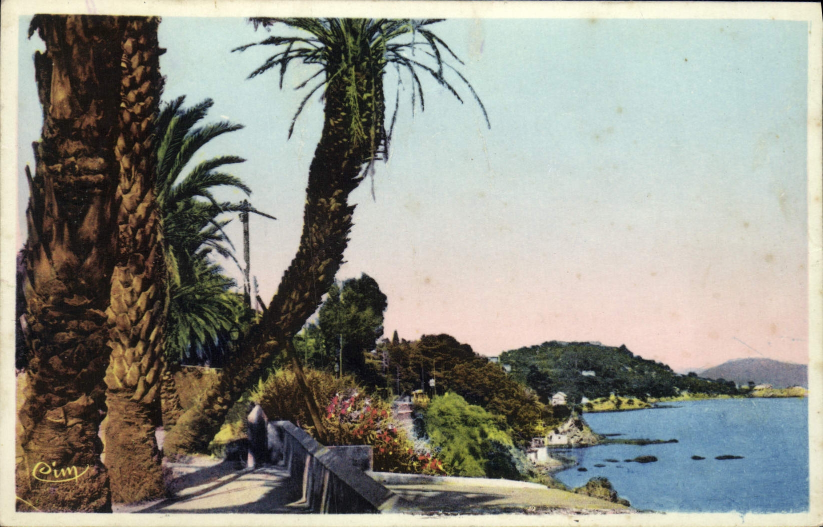 CPA Toulon Le Boulevard du Littoral Le Palmier penche