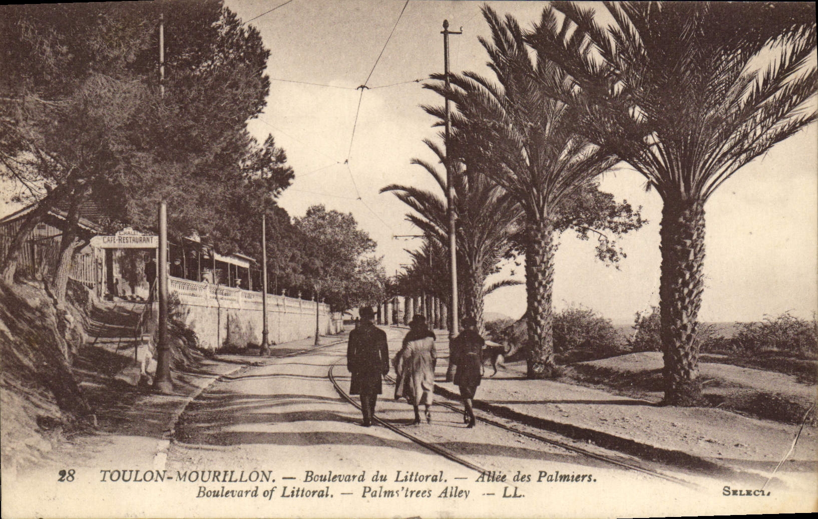 Bulevar de Toulon Mourillon de la POSTAL de la VENDIMIA del litoral ido de las palmeras que restauran el café
