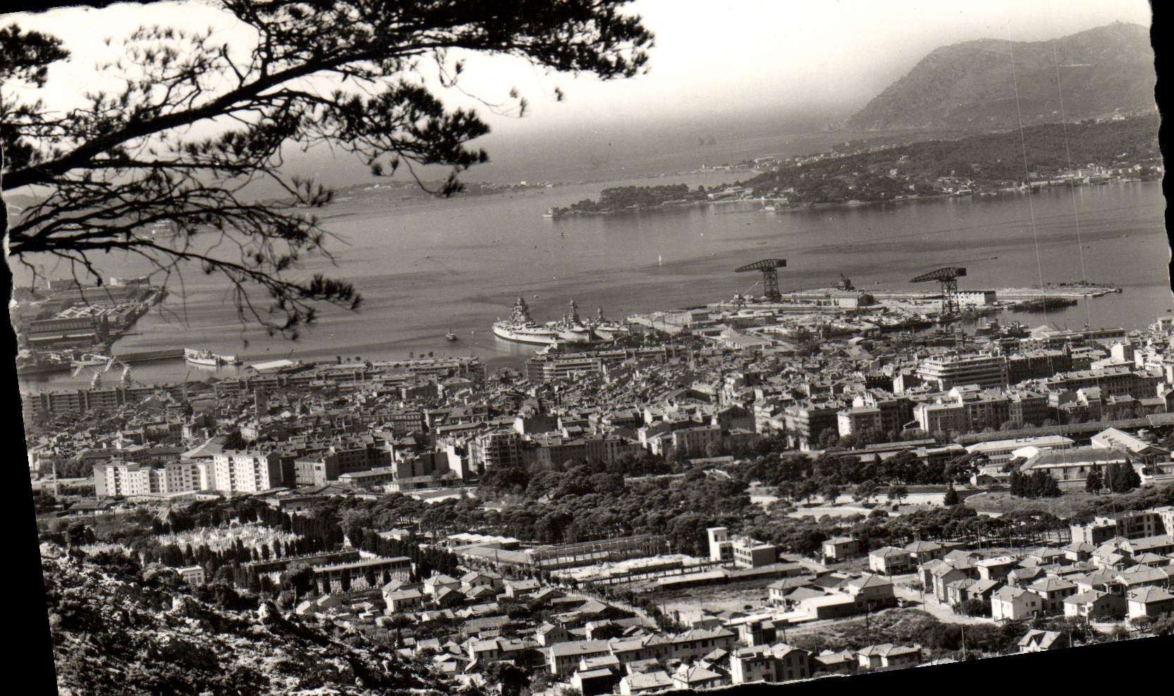 MODERN CARD Toulon View on and splits it Bateaux