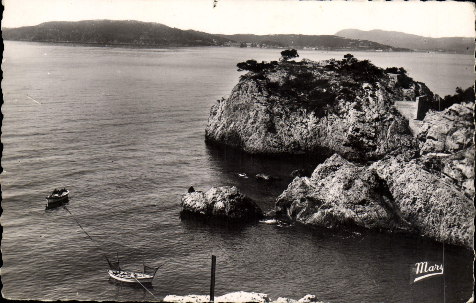 VINTAGE POSTCARD Toulon Cape Brun Fishes with the Muzzle