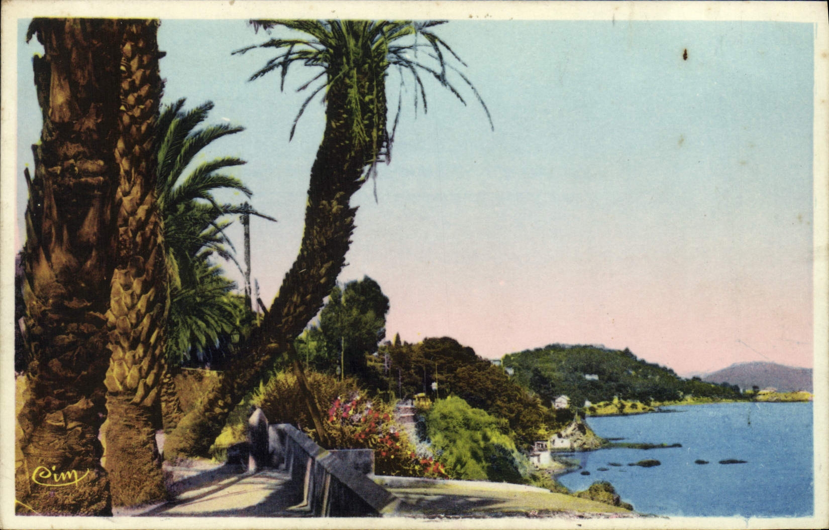 CPA Toulon La Boulevard du Littoral Le Palmier Penche 