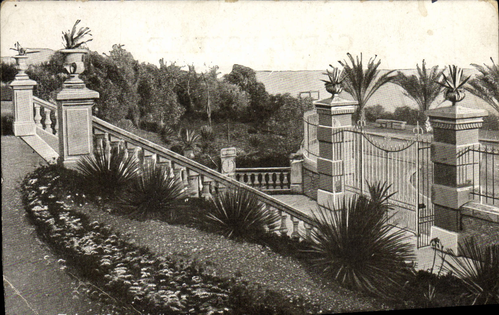 VINTAGE POSTCARD Toulon zoological gardens