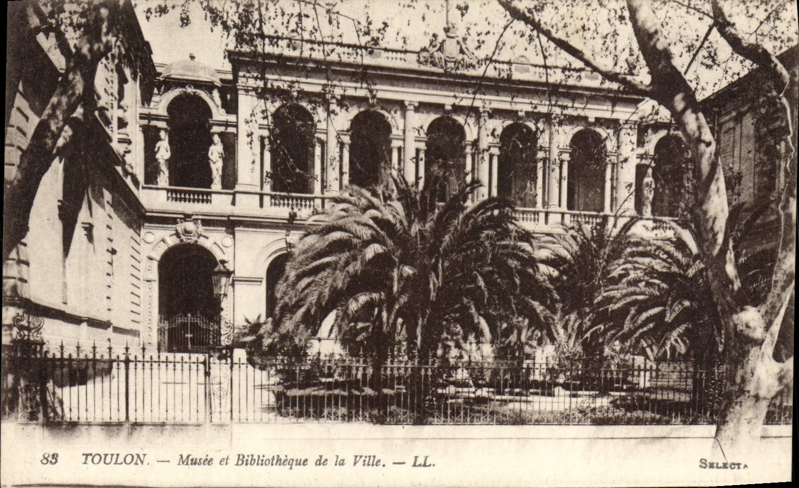 CPA Toulon Musee et Bibliotheque de la Ville 