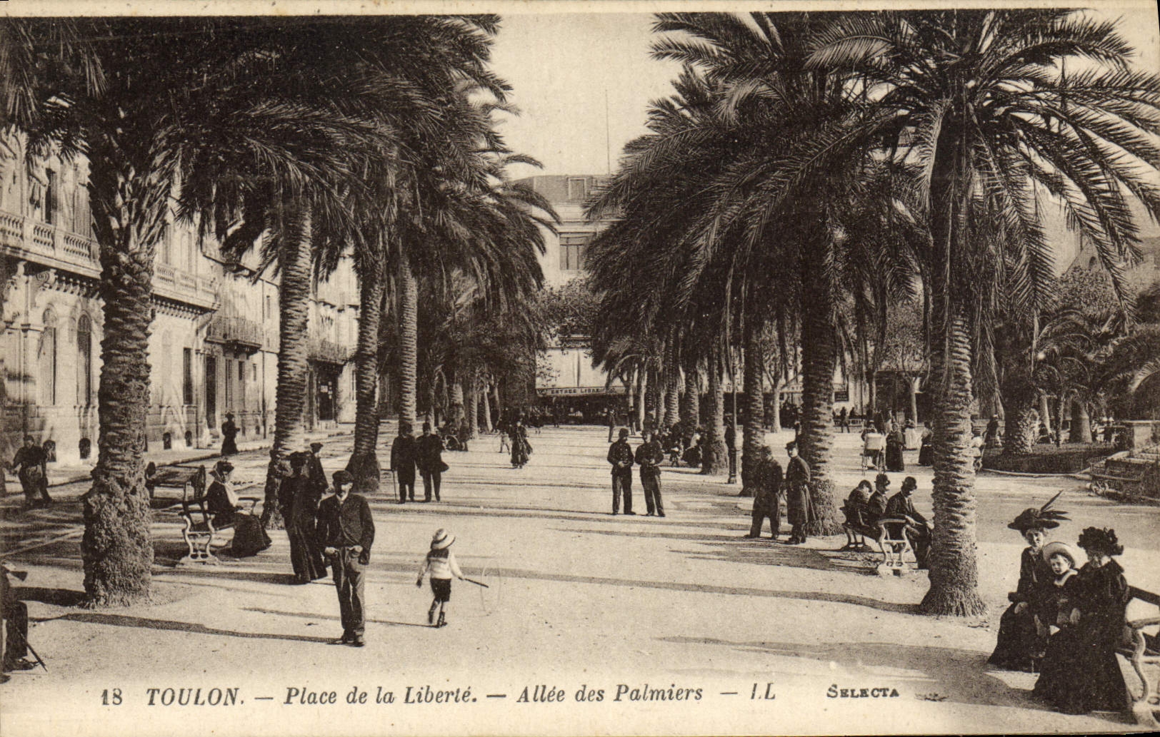 CPA Toulon Place de la Liberte Allee des Palmiers 