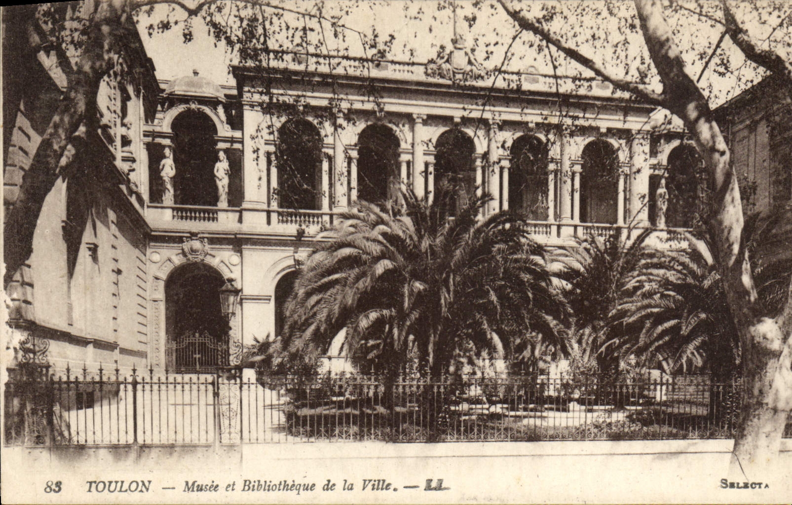 CPA Toulon Musee et Bibliotheque de la Ville 