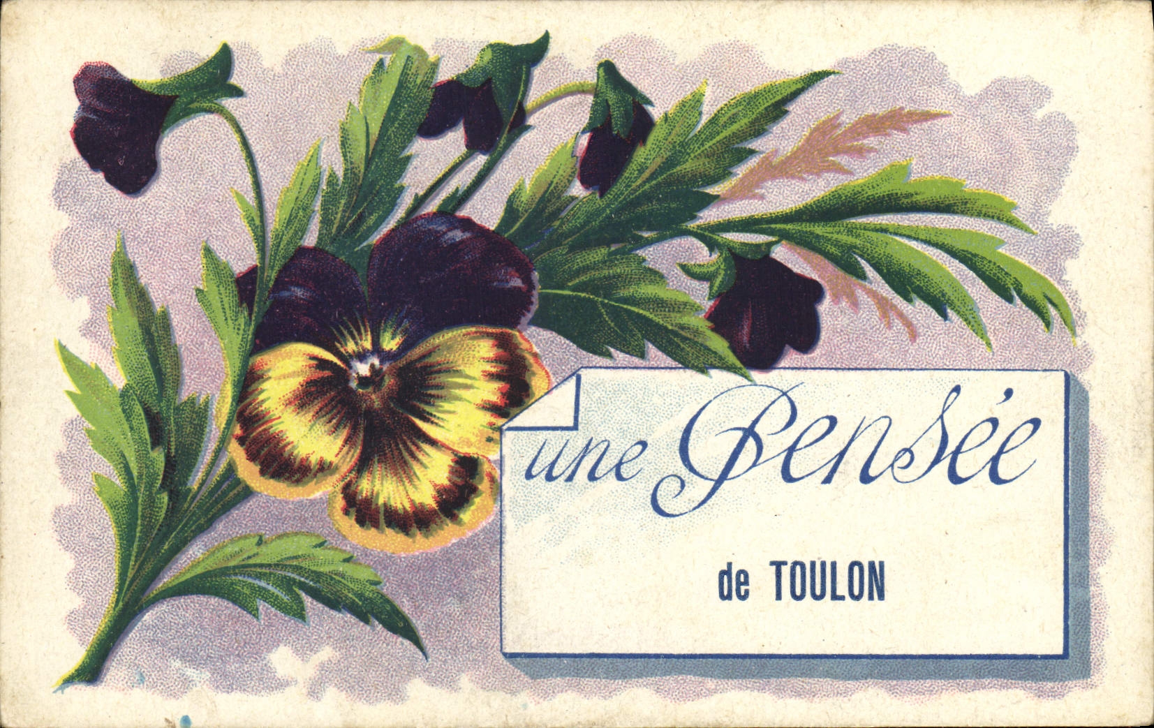 VINTAGE POSTCARD a thought of Toulon Flowers