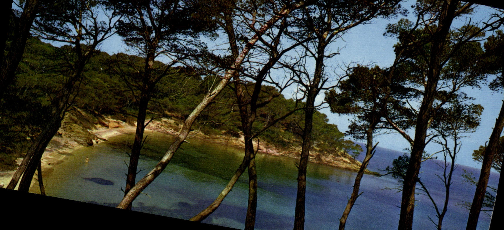 CPM Mediterranee aux plages d'or ensoleillees