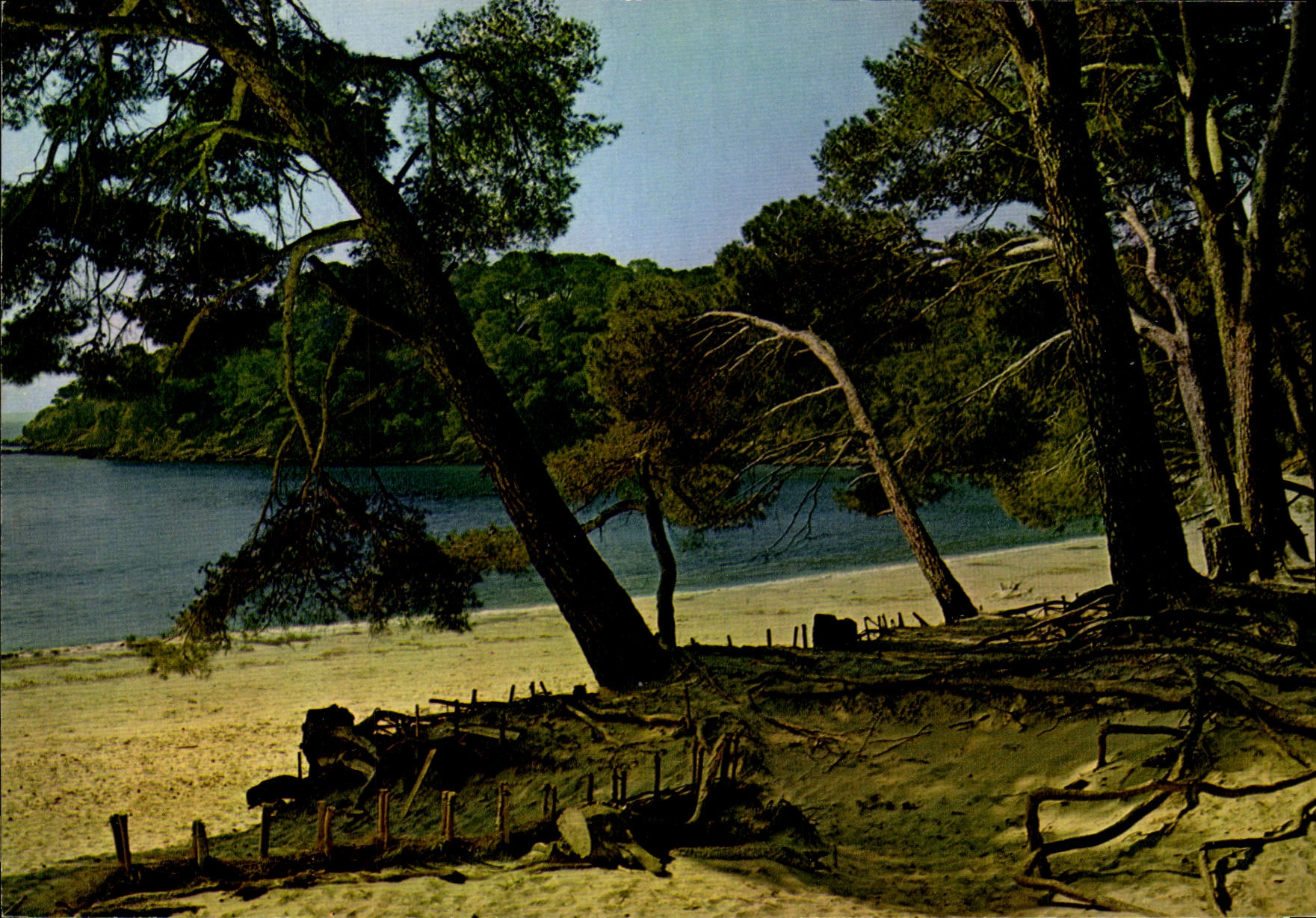 CPM Mediterranee aux plages d'or ensoleillees Calanque ou la vague s'abrite