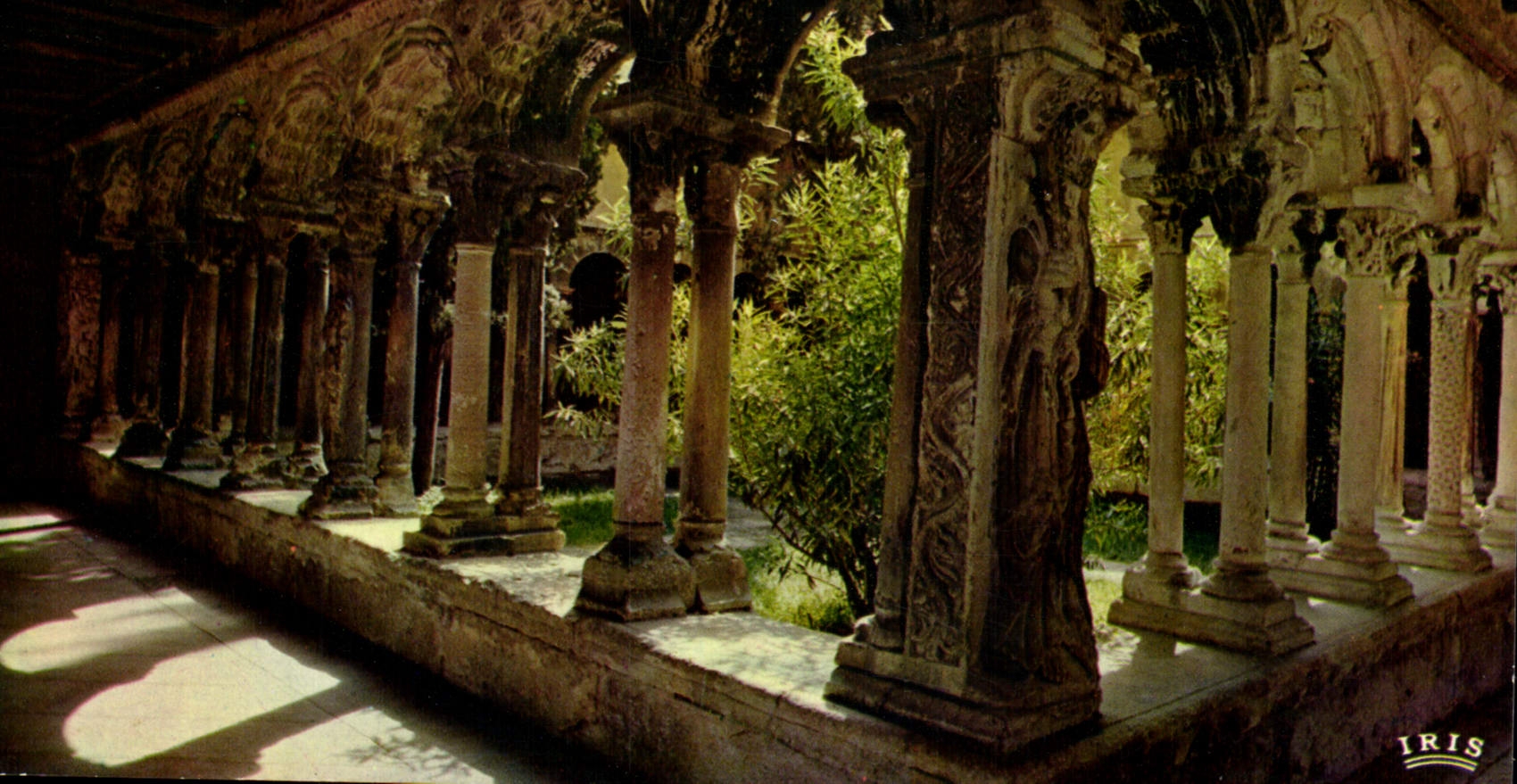 CPM Aix en Provence Cathedrale Saint Sauveur Cloitre