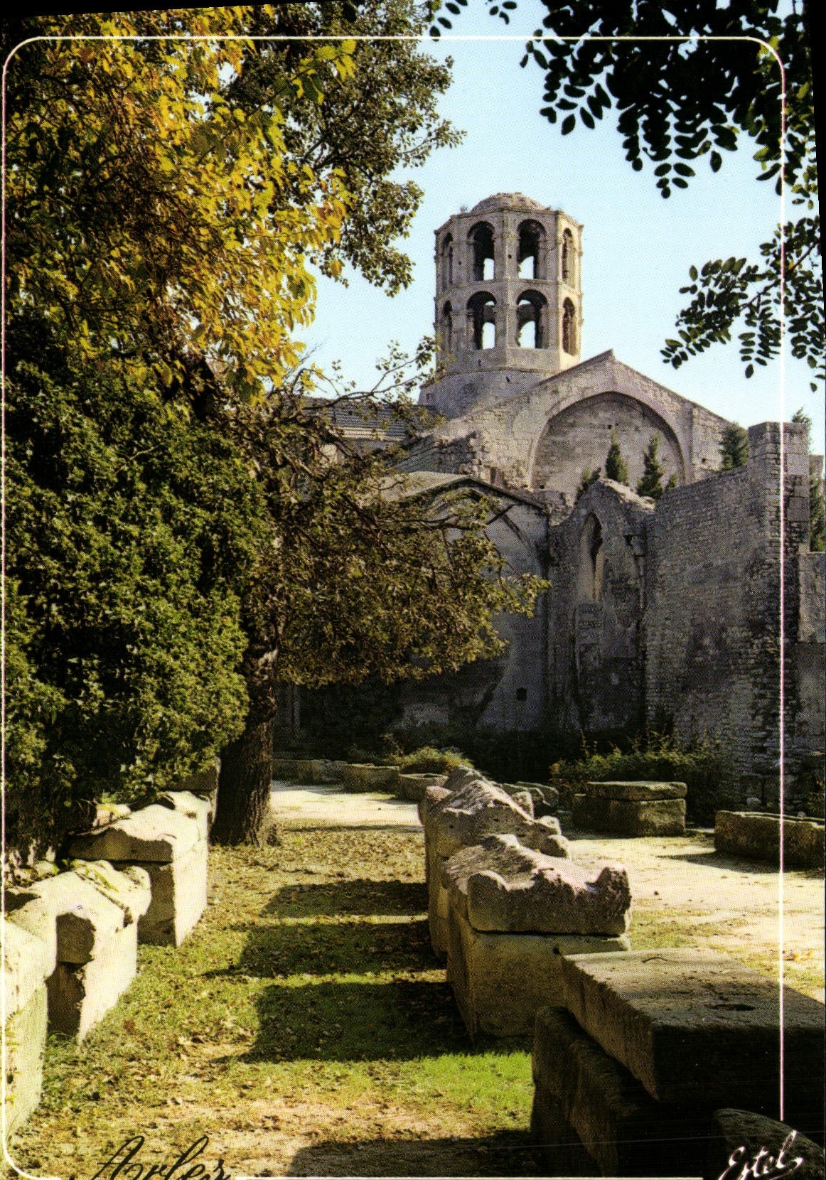 CPM Arles Les Alyscamps Necropole