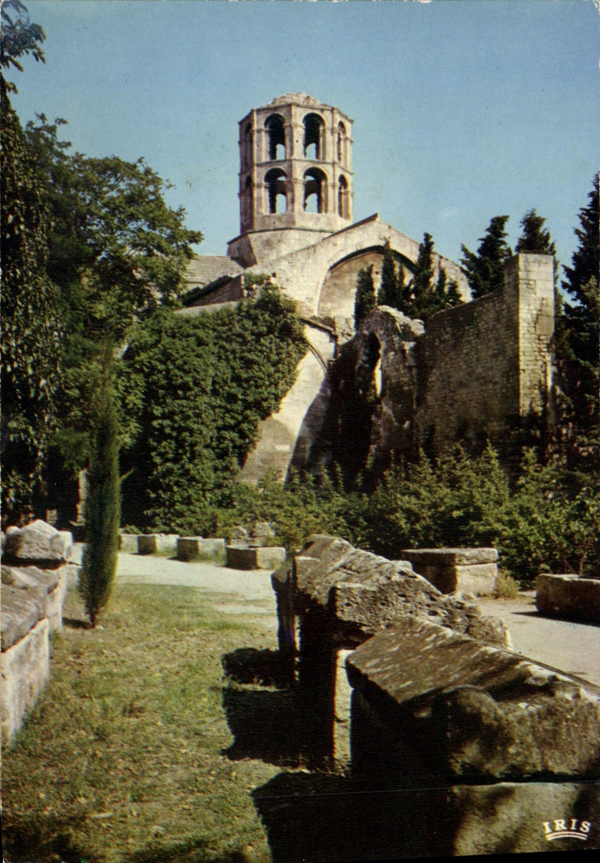 MODERN CARD Arles ancient Alyscamps necropolis Church St Honorat