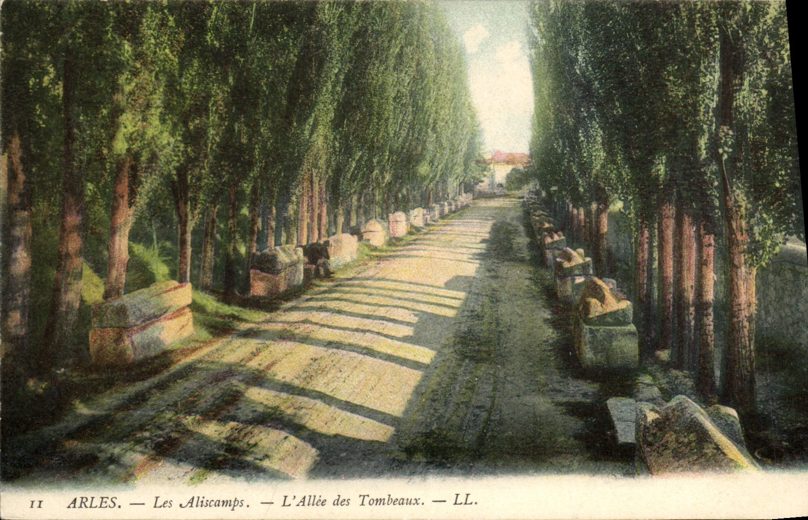 VINTAGE POSTCARD Arles the Alley of the Tombs Aliscamps
