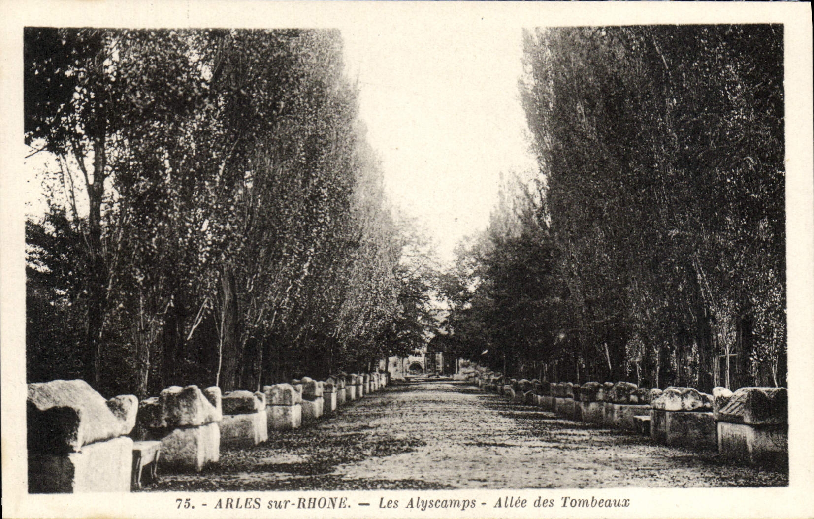CPA Arles Sur Rhone Les Alyscamps Allee Des Tombeaux