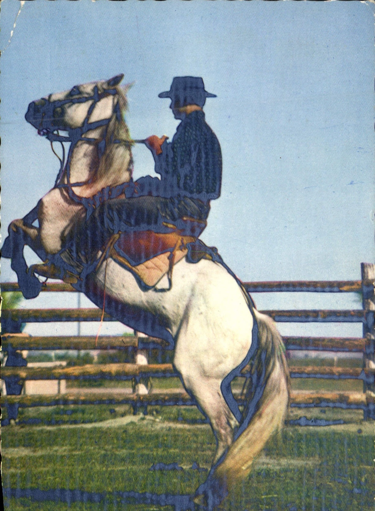 CPM En Camargue Avec Les Gardians Chevaux 