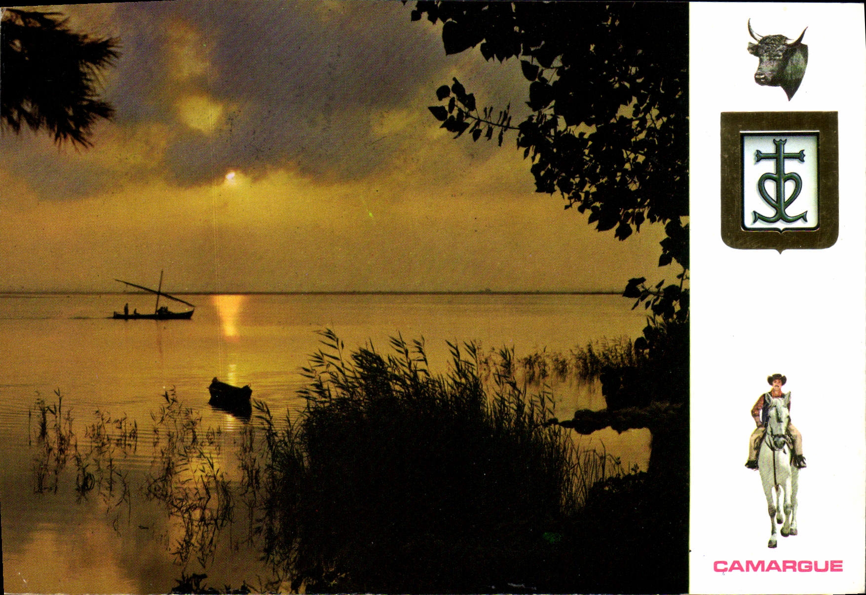 CPM Lumiere Et Couleurs De La Camargue Cheval