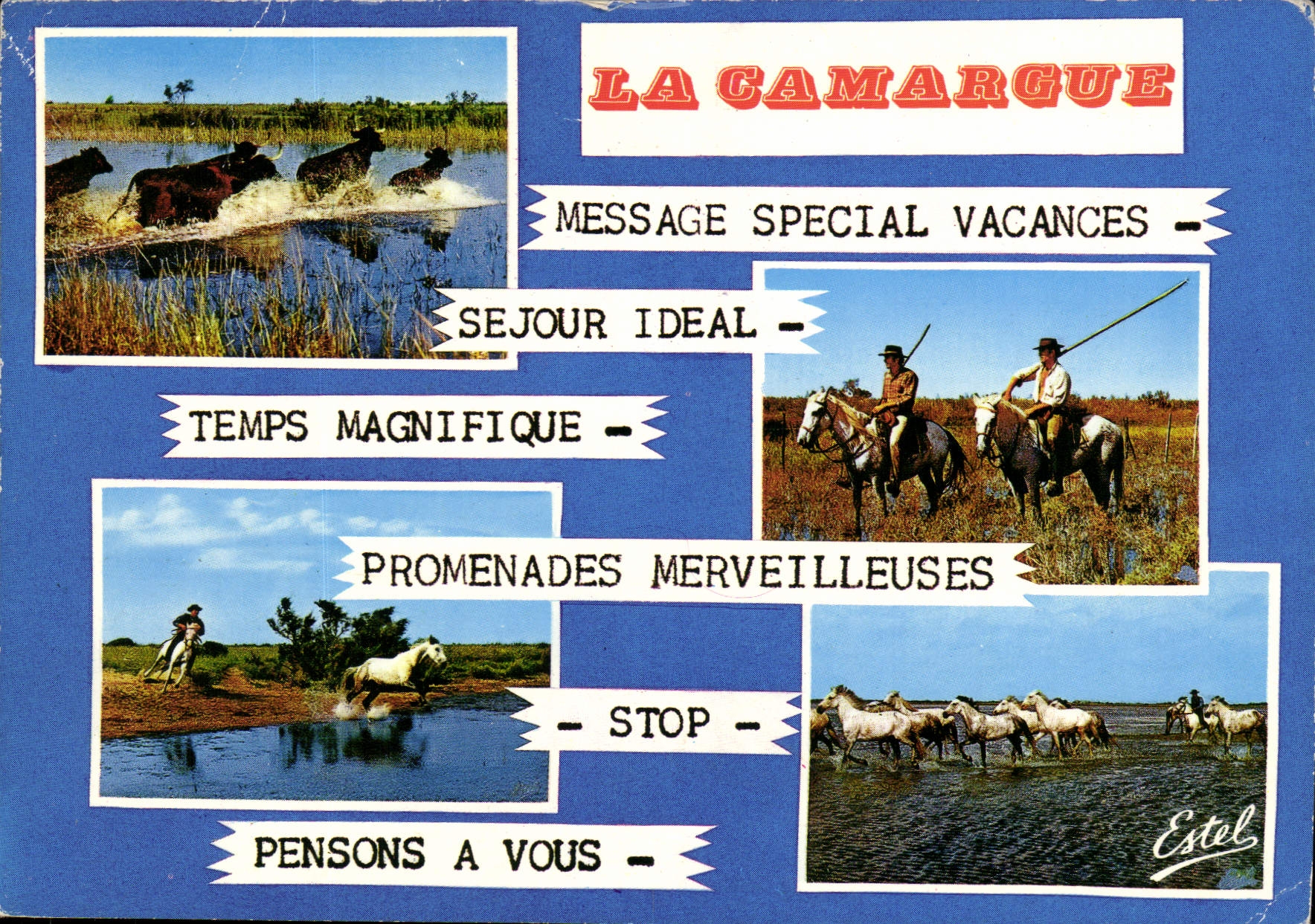 CPM Camargue Passage De Taureaux Gardians Poursuite Manade