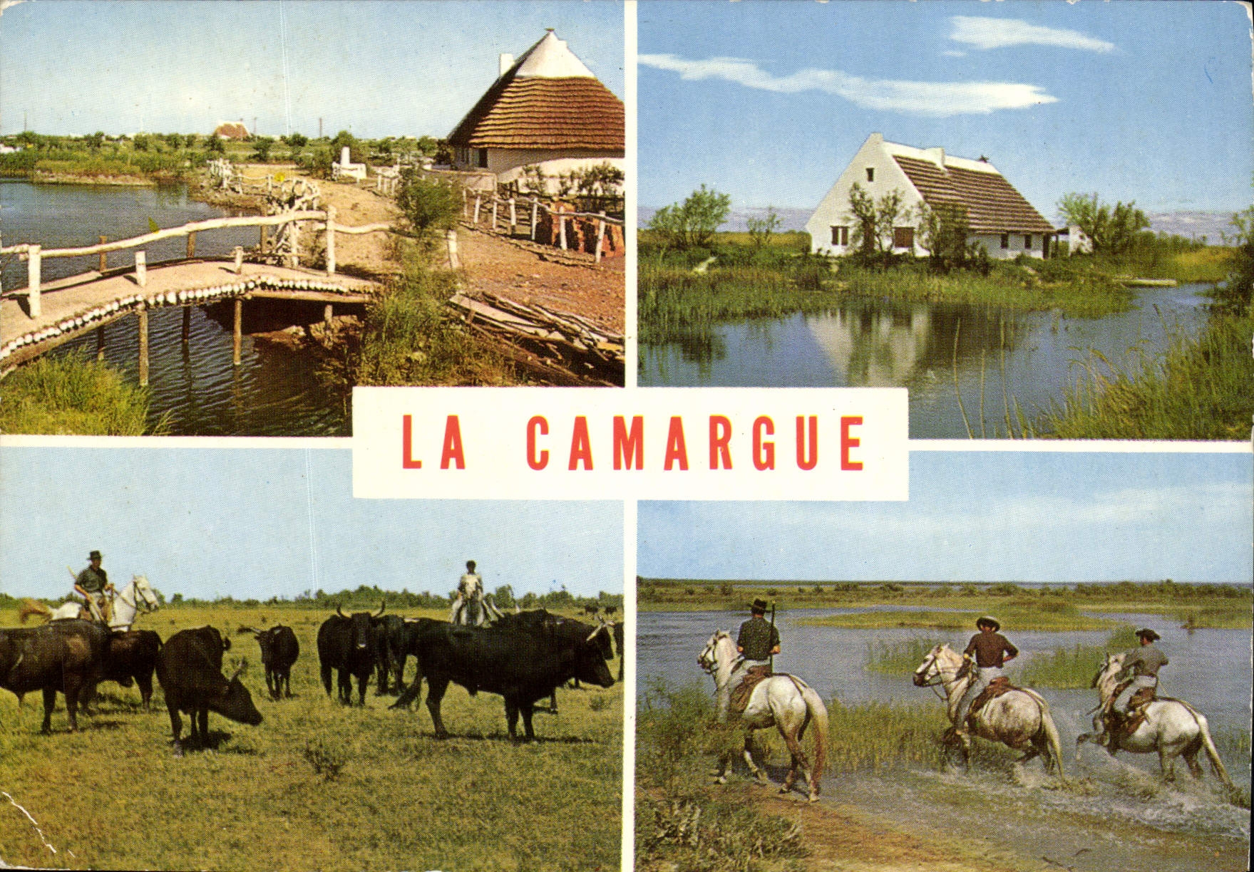 CPM Ln Camargue Chevaux Taureaux 