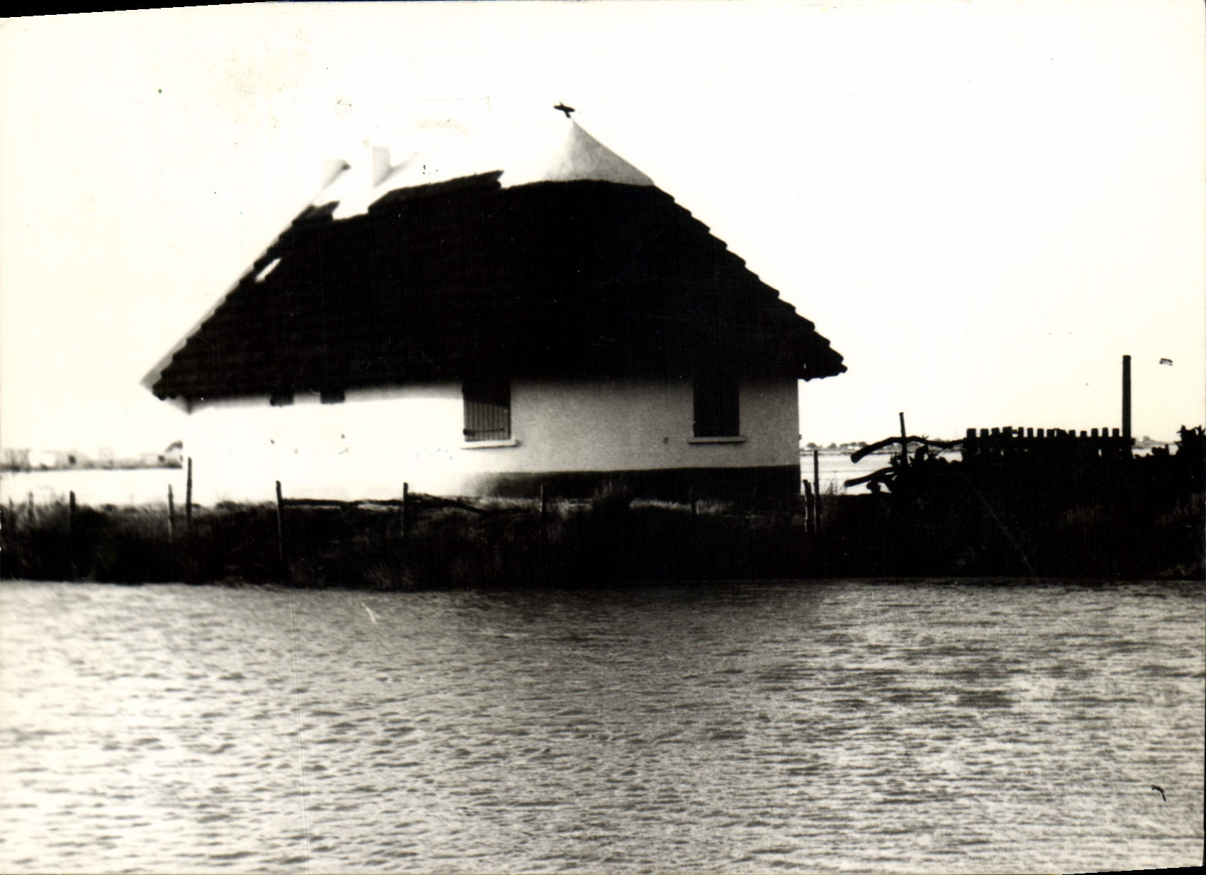 CPM camargue Maison locale 