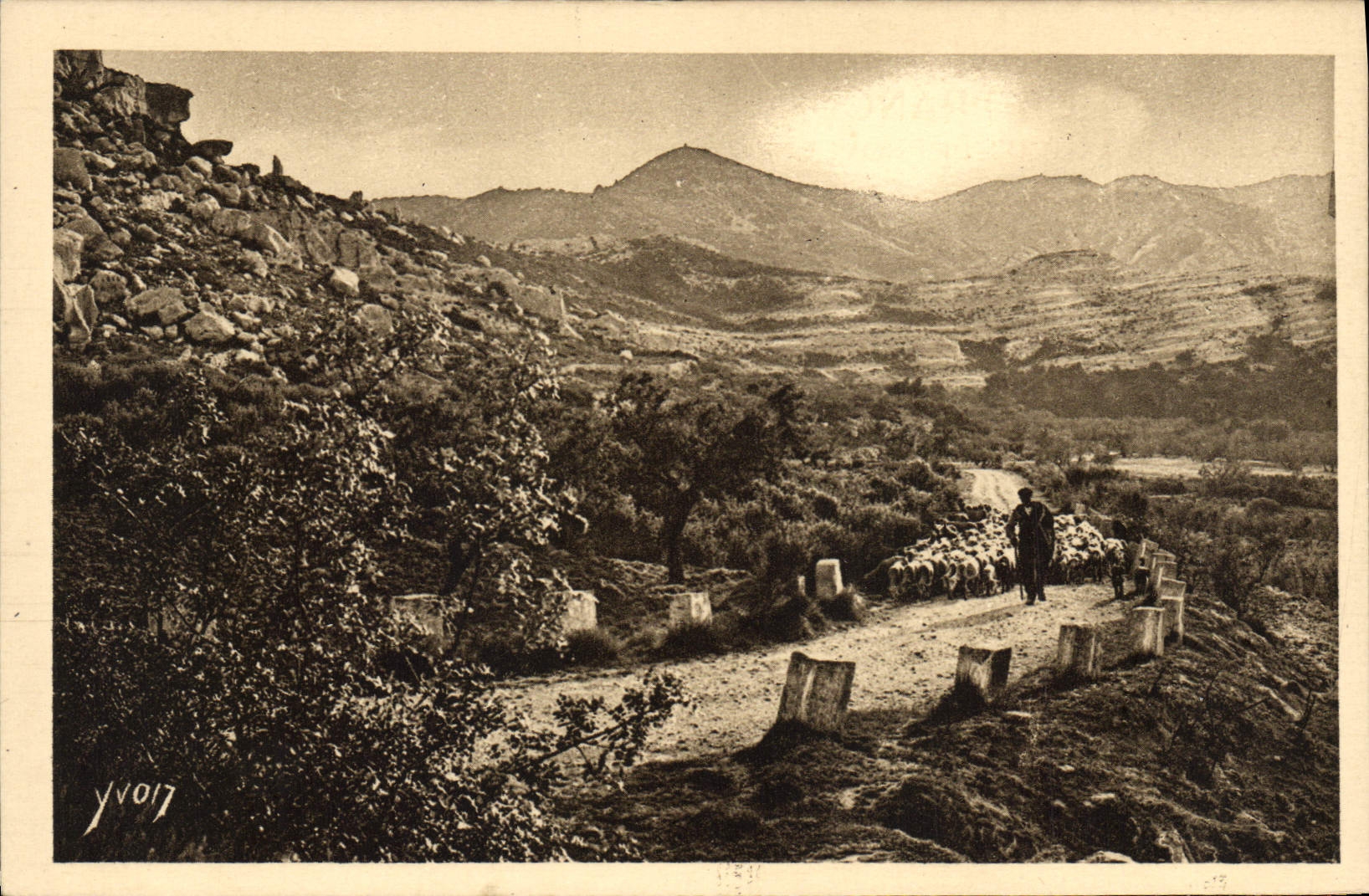 CPA Paysages Et Pierres De Provence Sur la Route de Saint Remy aux Baux