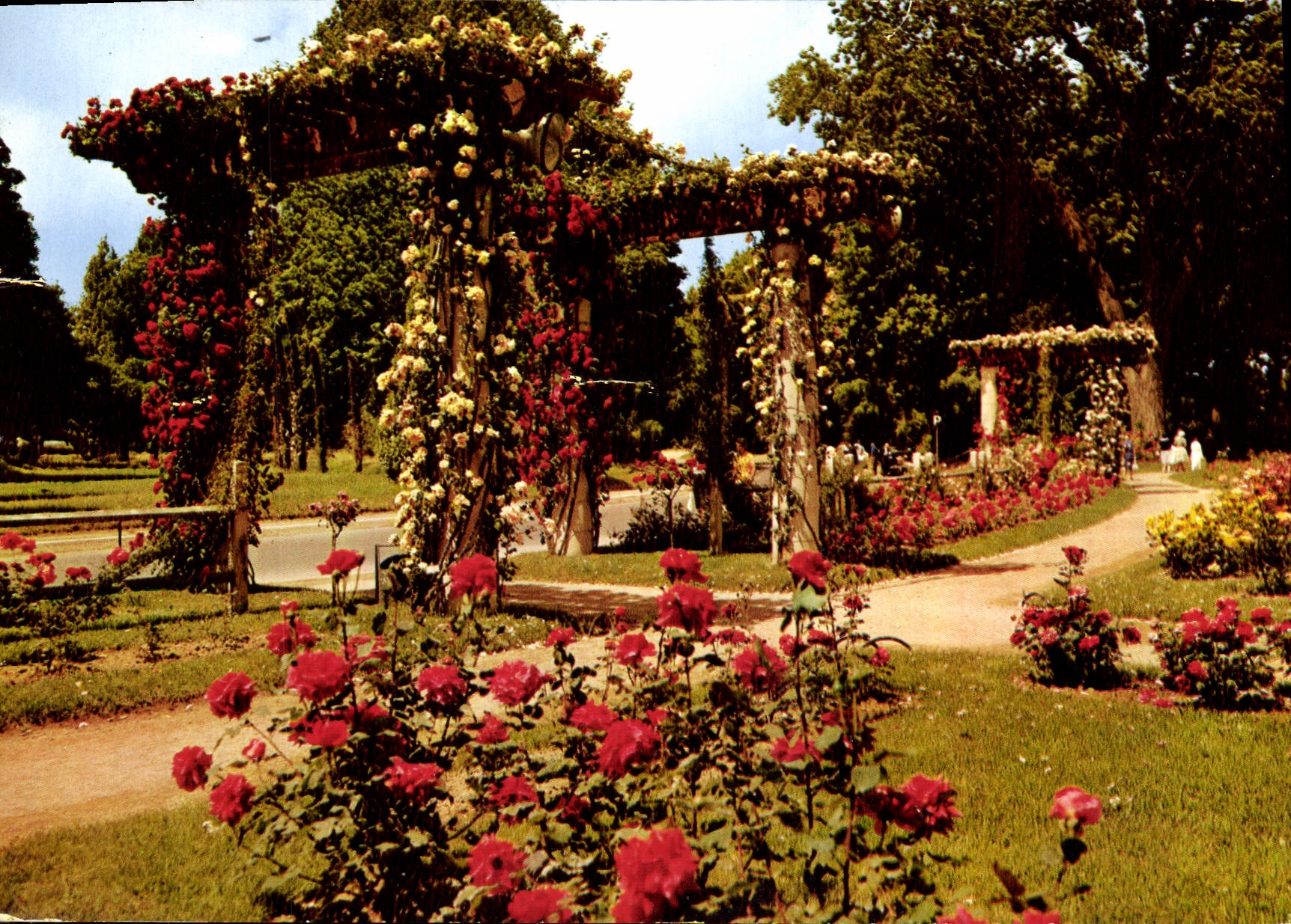 CPM Marseille Le Parc Borely La Roserie