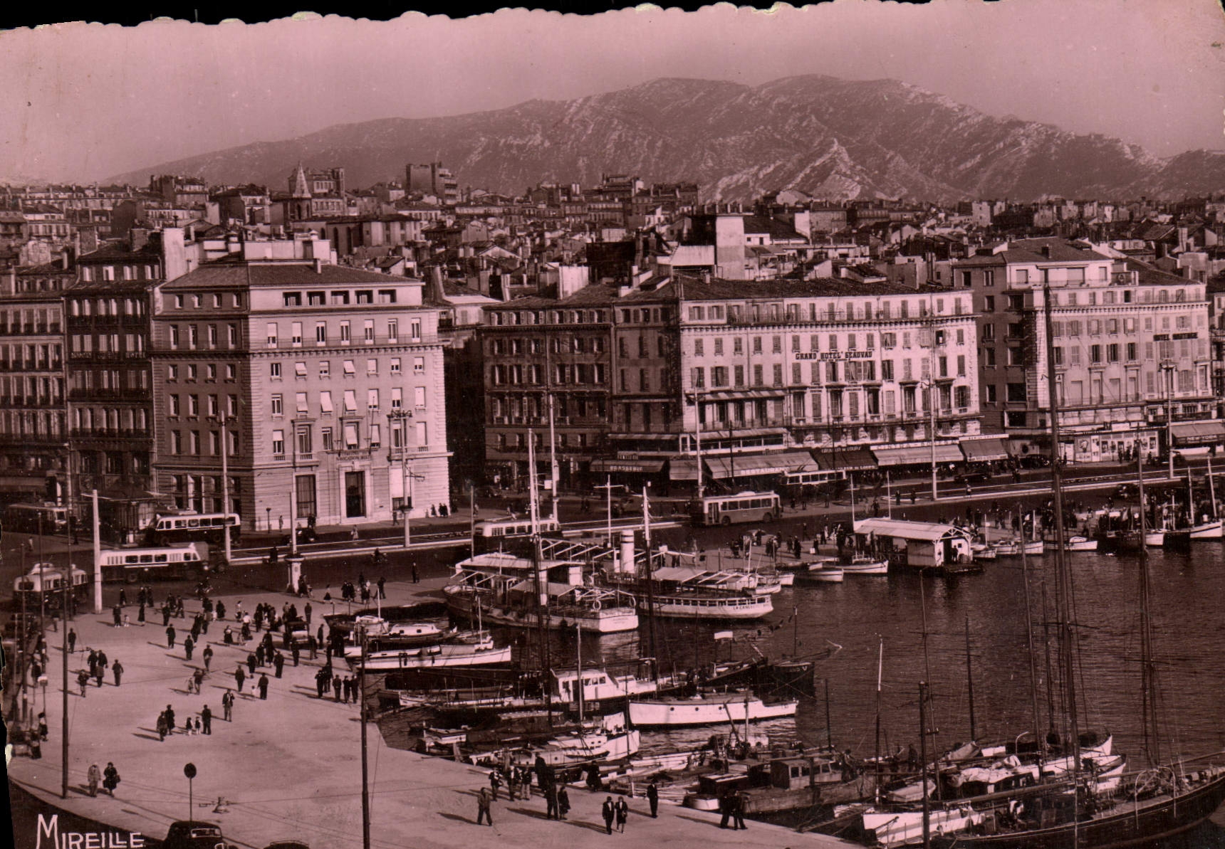 CPM Marseille le Quai des Belges et l'Entree de la Canebiere