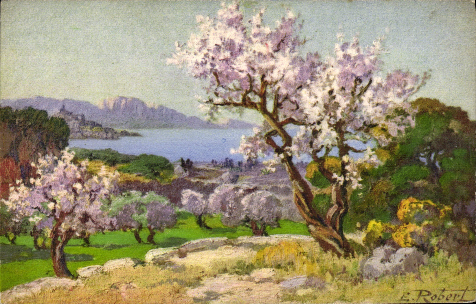 CPA Amandiers en fleurs aux environs de Marseille 