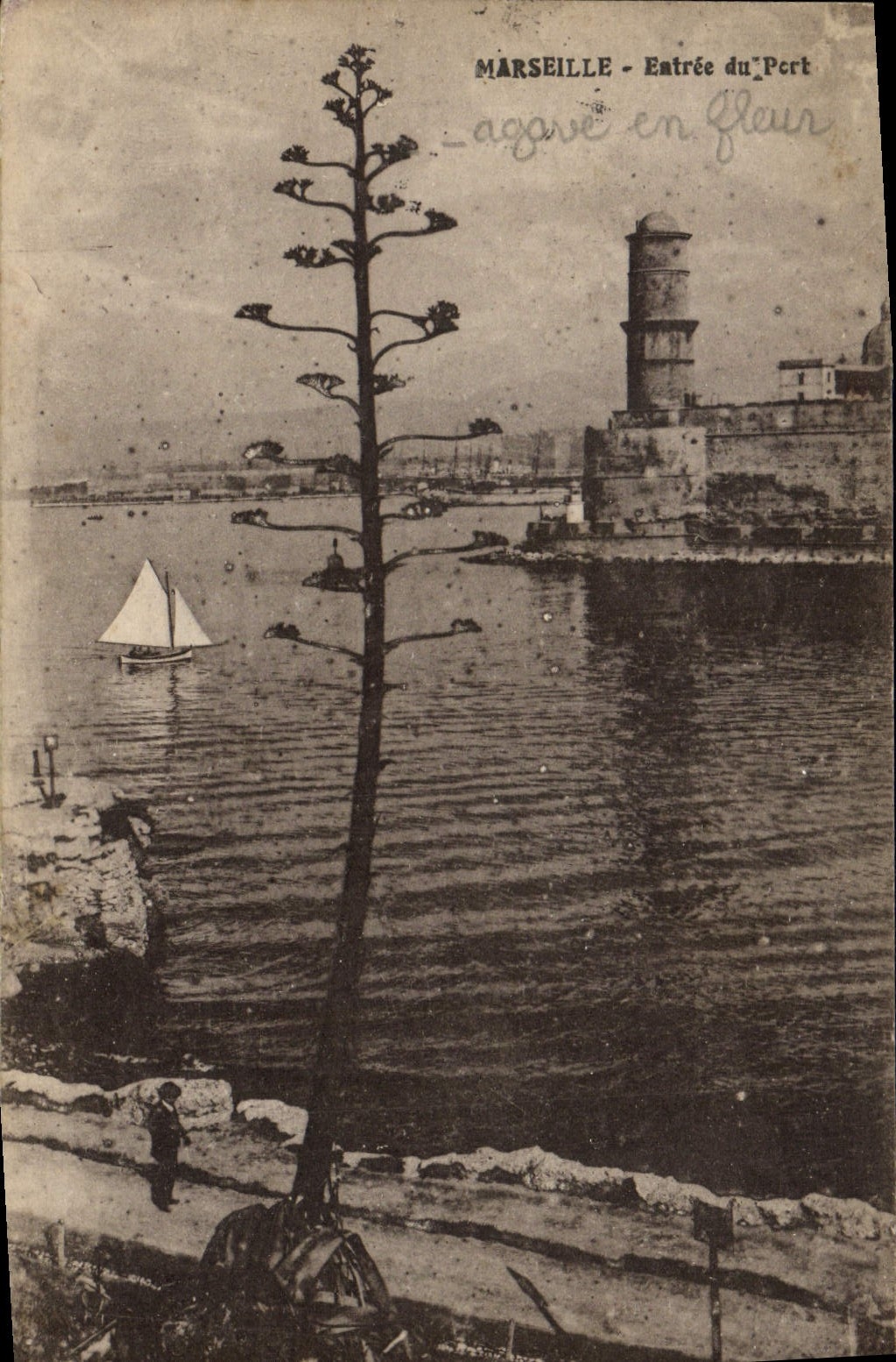 CPA Marseille Entree du Port