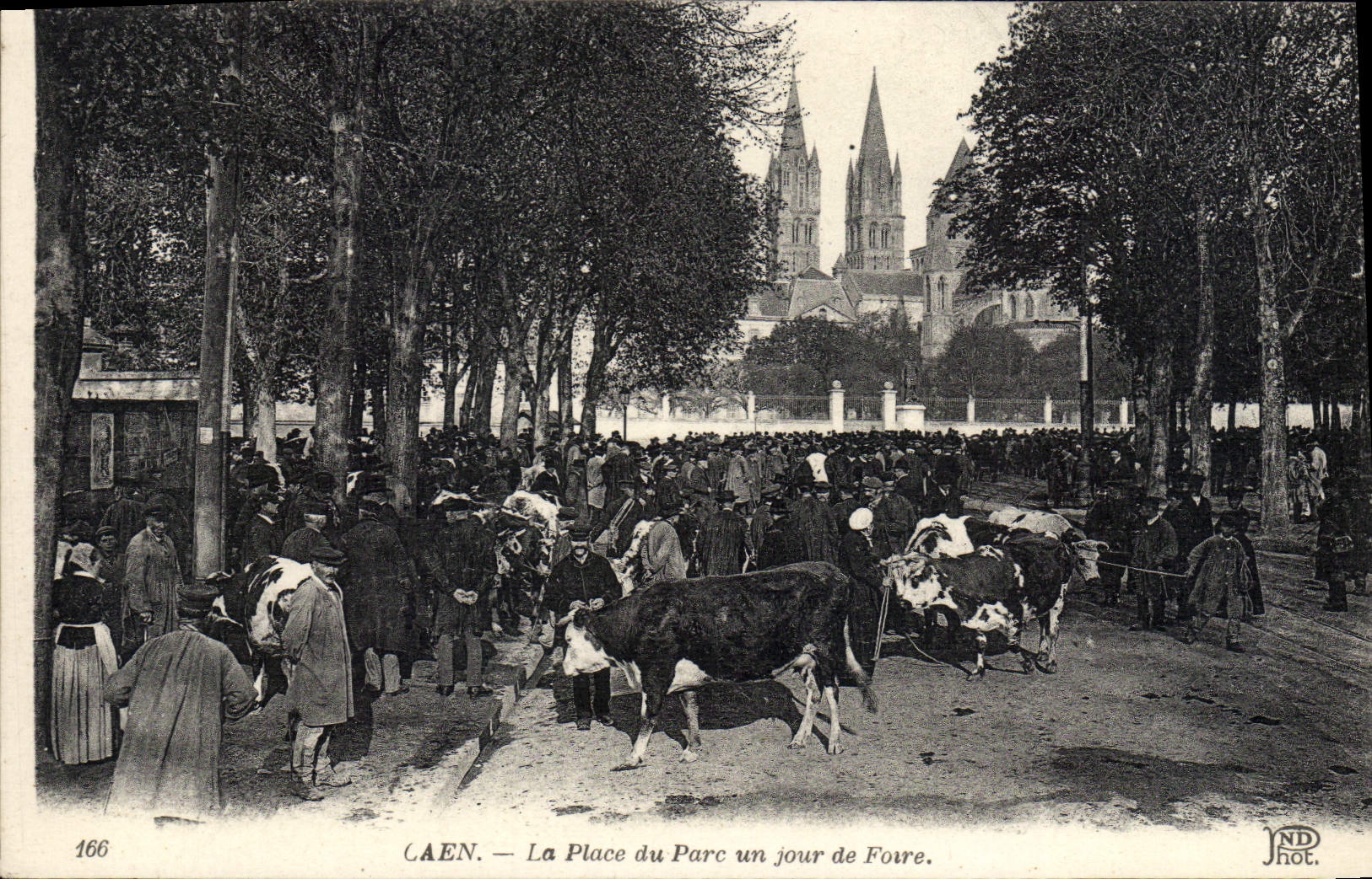 CPA Caen La Place du Parc un jour de Foire Vaches TOP