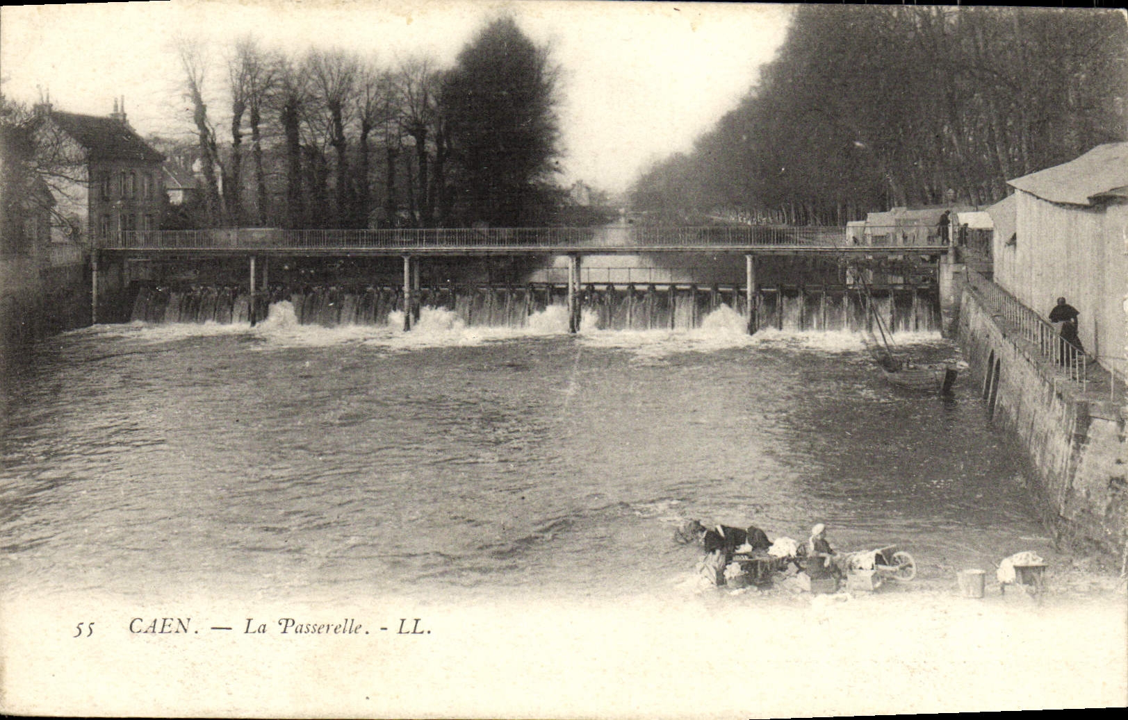 POSTAL Caen de la VENDIMIA los campos de la lavanda de la pasarela
