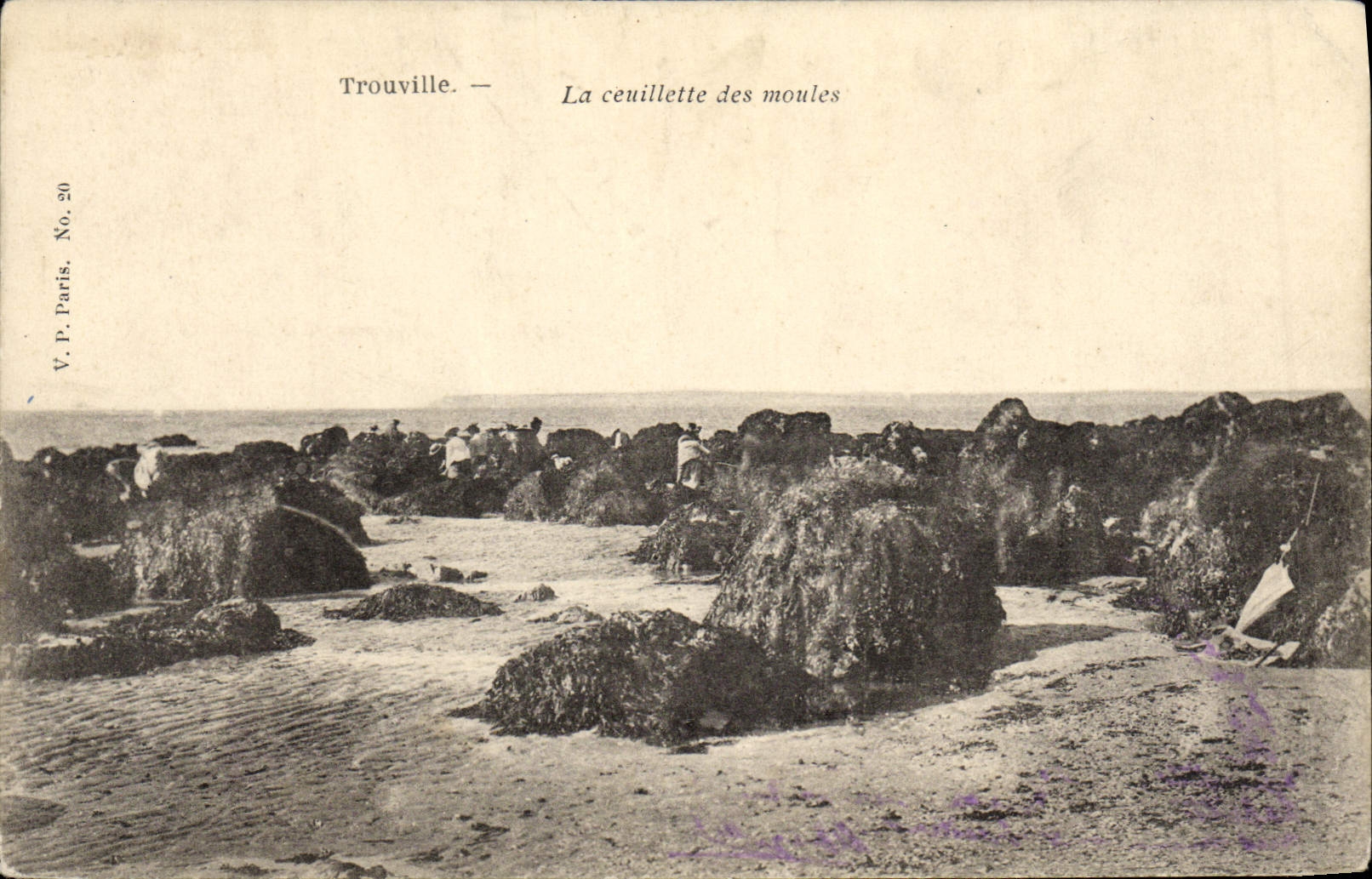 VINTAGE POSTCARD Trouville the ceuillette of the moulds