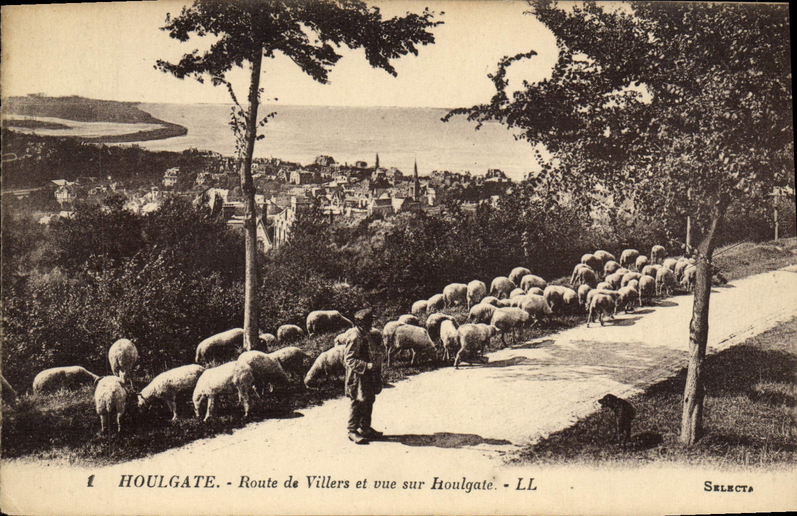 Camino de Houlgate de la POSTAL de la VENDIMIA de Villers y del Vue en el pastor y las ovejas de Houlgate