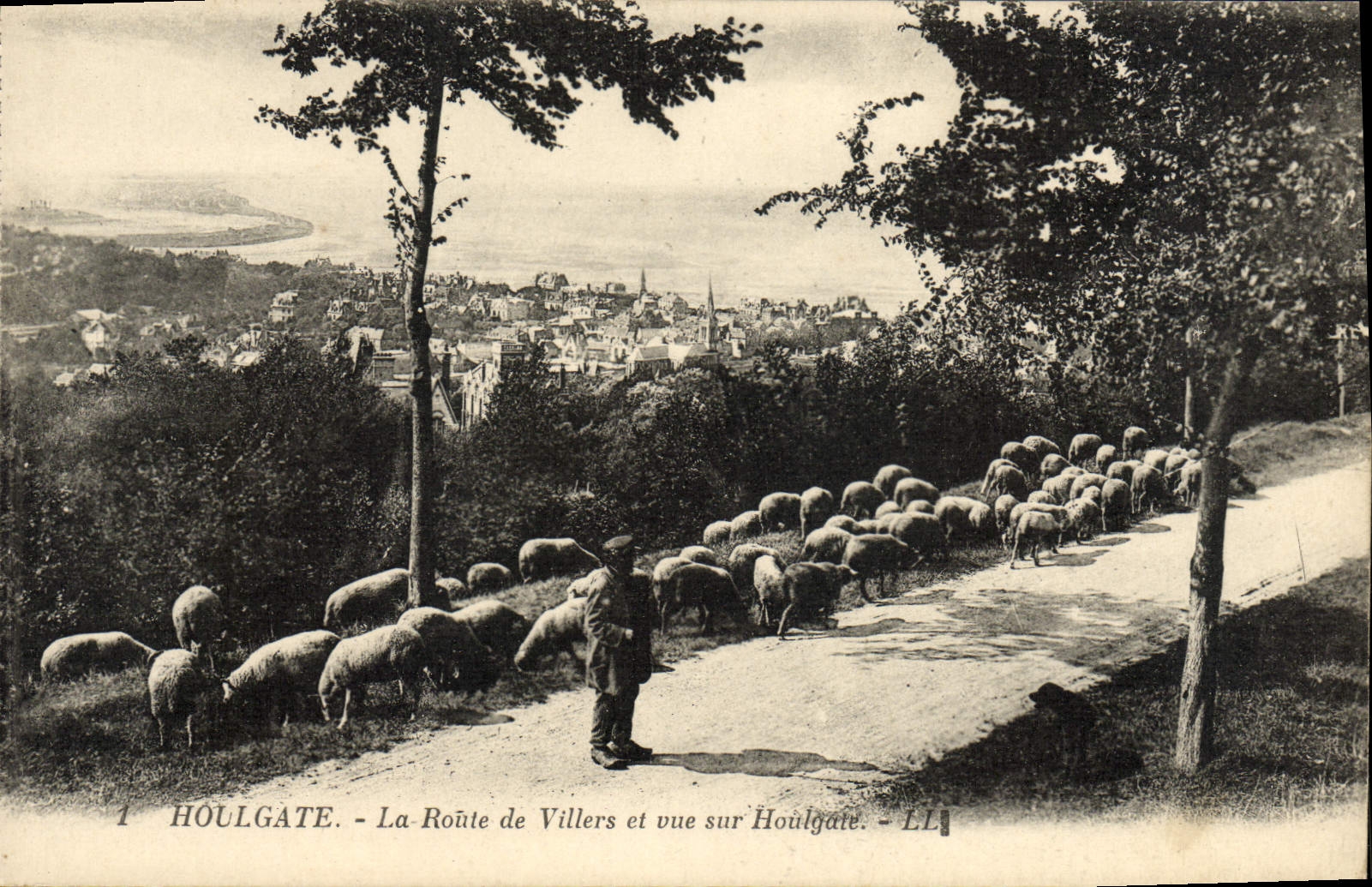 VINTAGE POSTCARD Houlgate the Road of Villers and Vue on Houlgate Shepherd and sheep