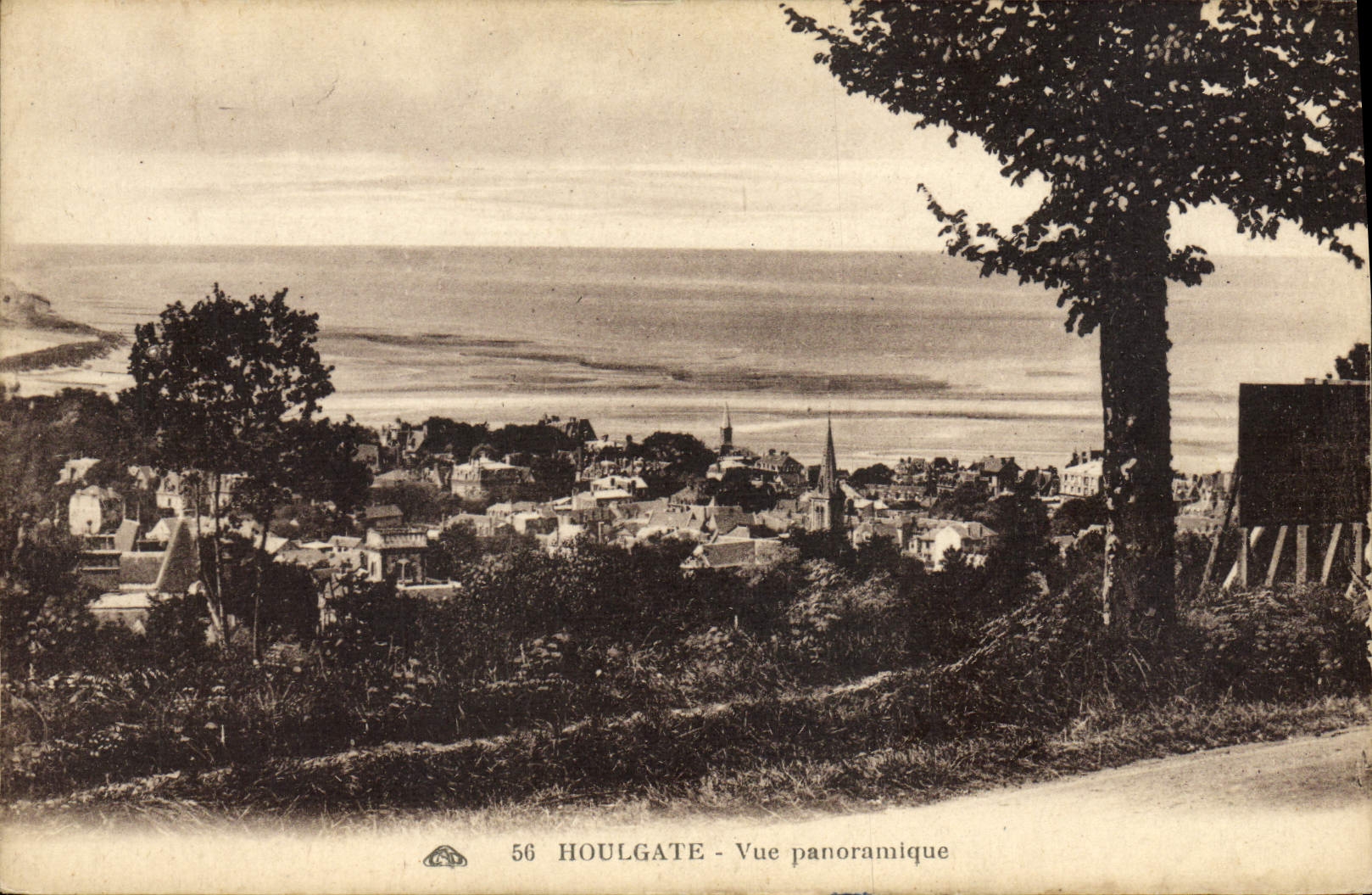 CPA Houlgate Vue panoramique 