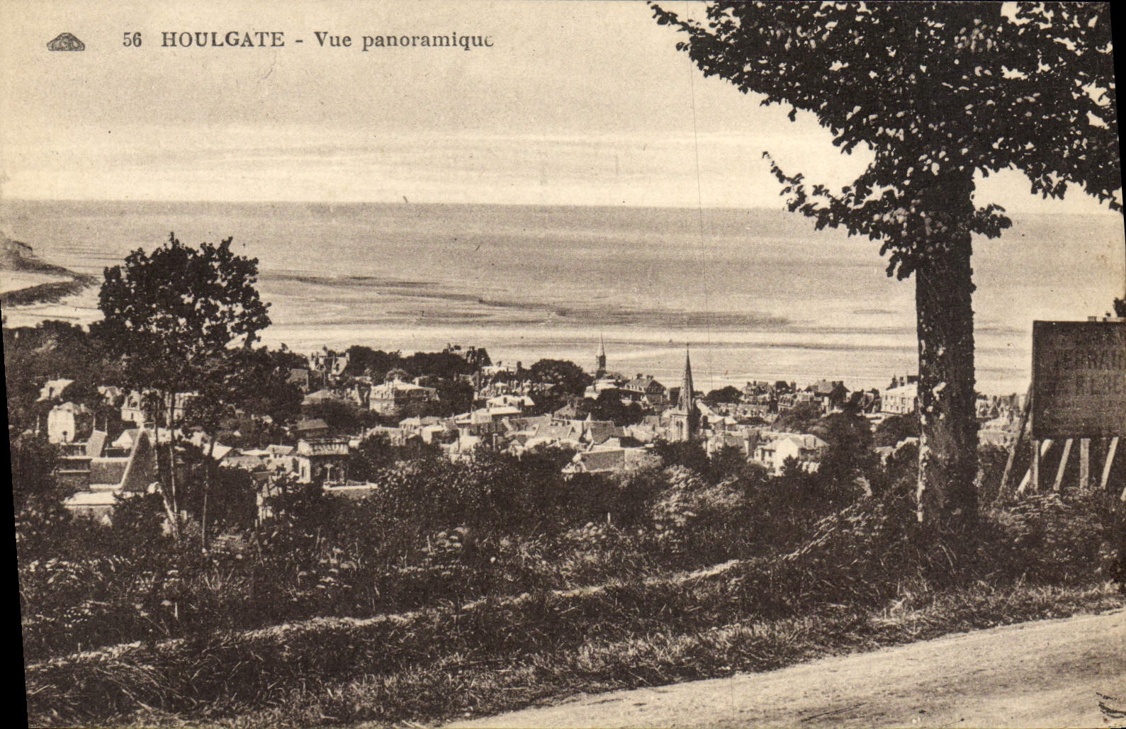 CPA Houlgate Vue panoramique 