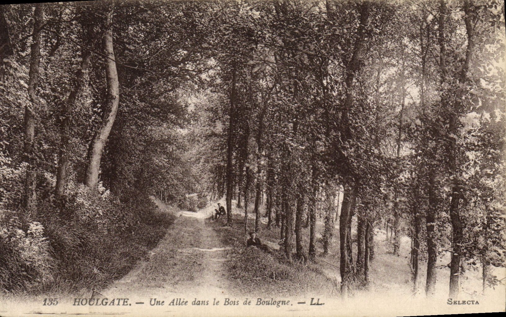 VINTAGE POSTCARD Houlgate an Alley in the Bois de Boulogne