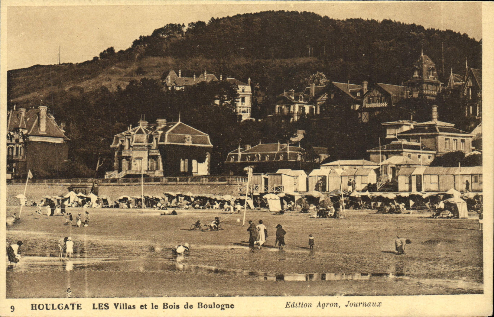CPA Houlgate Les Villas et le Bois de Boulogue 