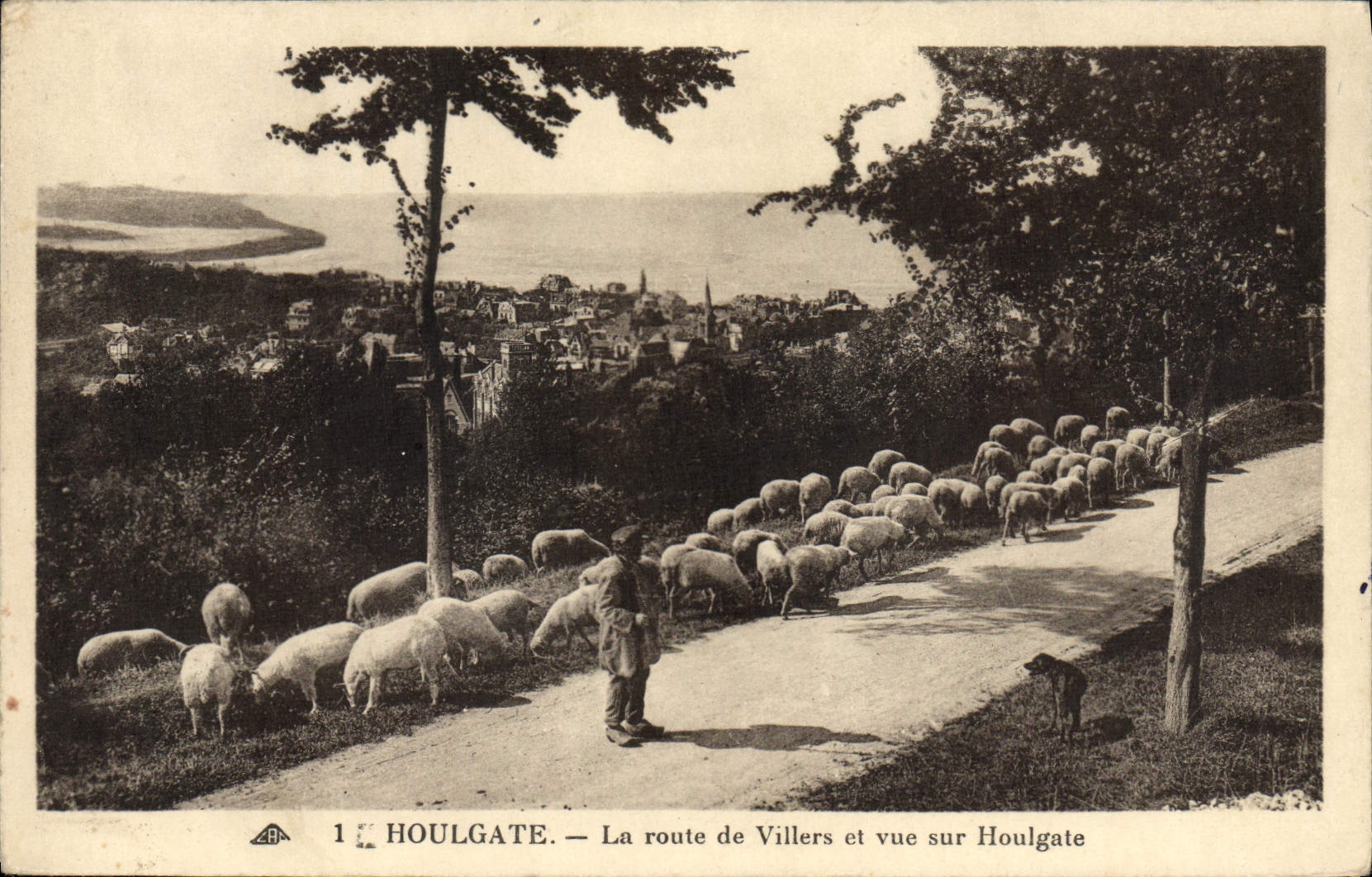 CPA Houlgate La Route de Villers et Vue sur Houlgate Berger et moutons