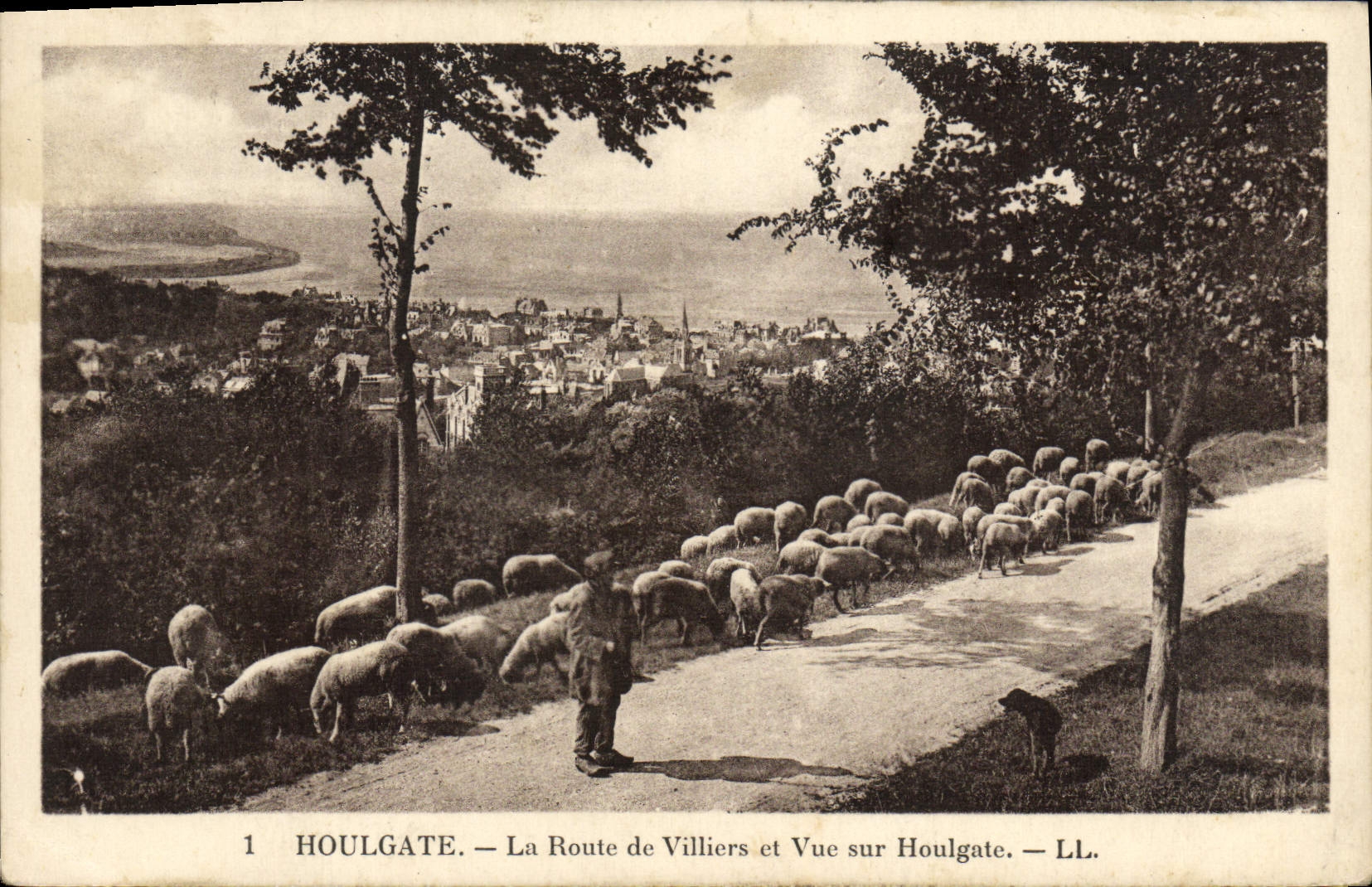 CPA Houlgate La Route de Villers et Vue sur Houlgate Berger et moutons