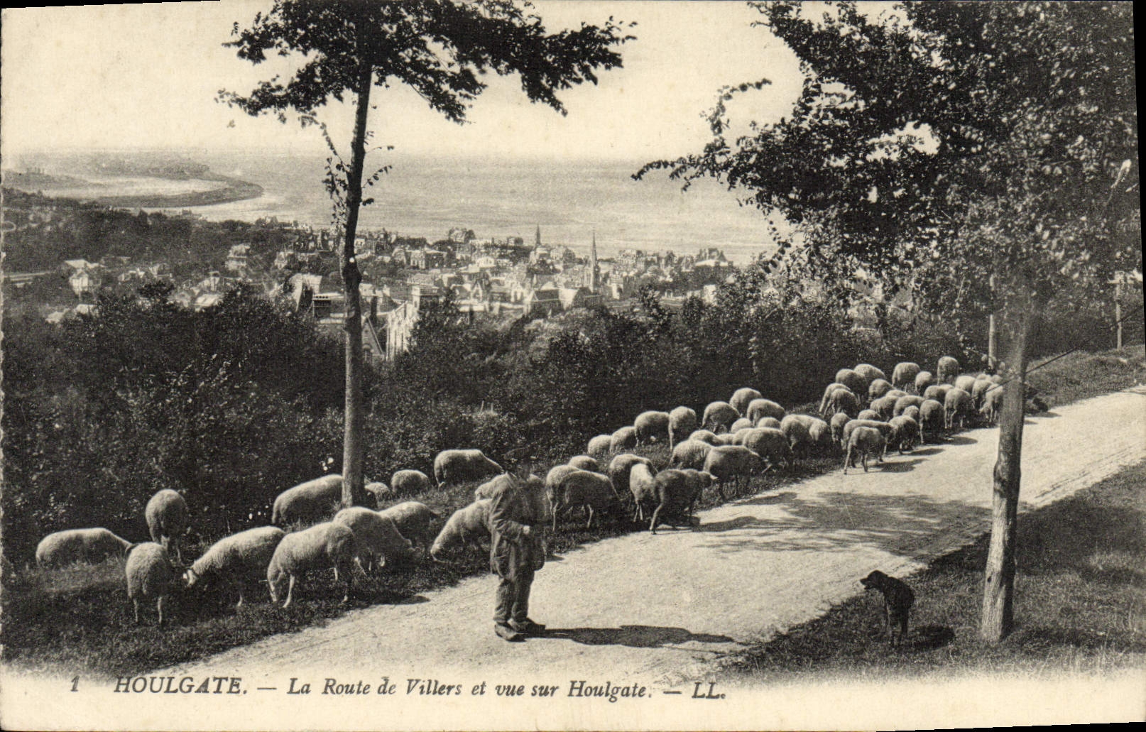 CPA Houlgate La Route de Villers et Vue sur Houlgate Berger et moutons