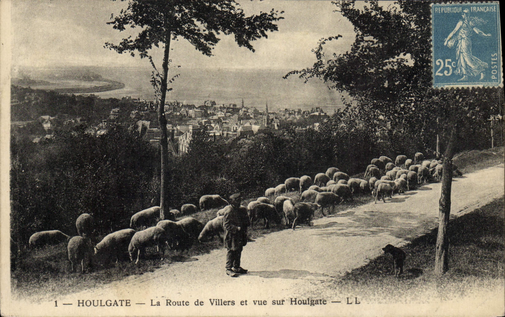 CPA Houlgate La Route de Villers et Vue sur Houlgate Berger et moutons