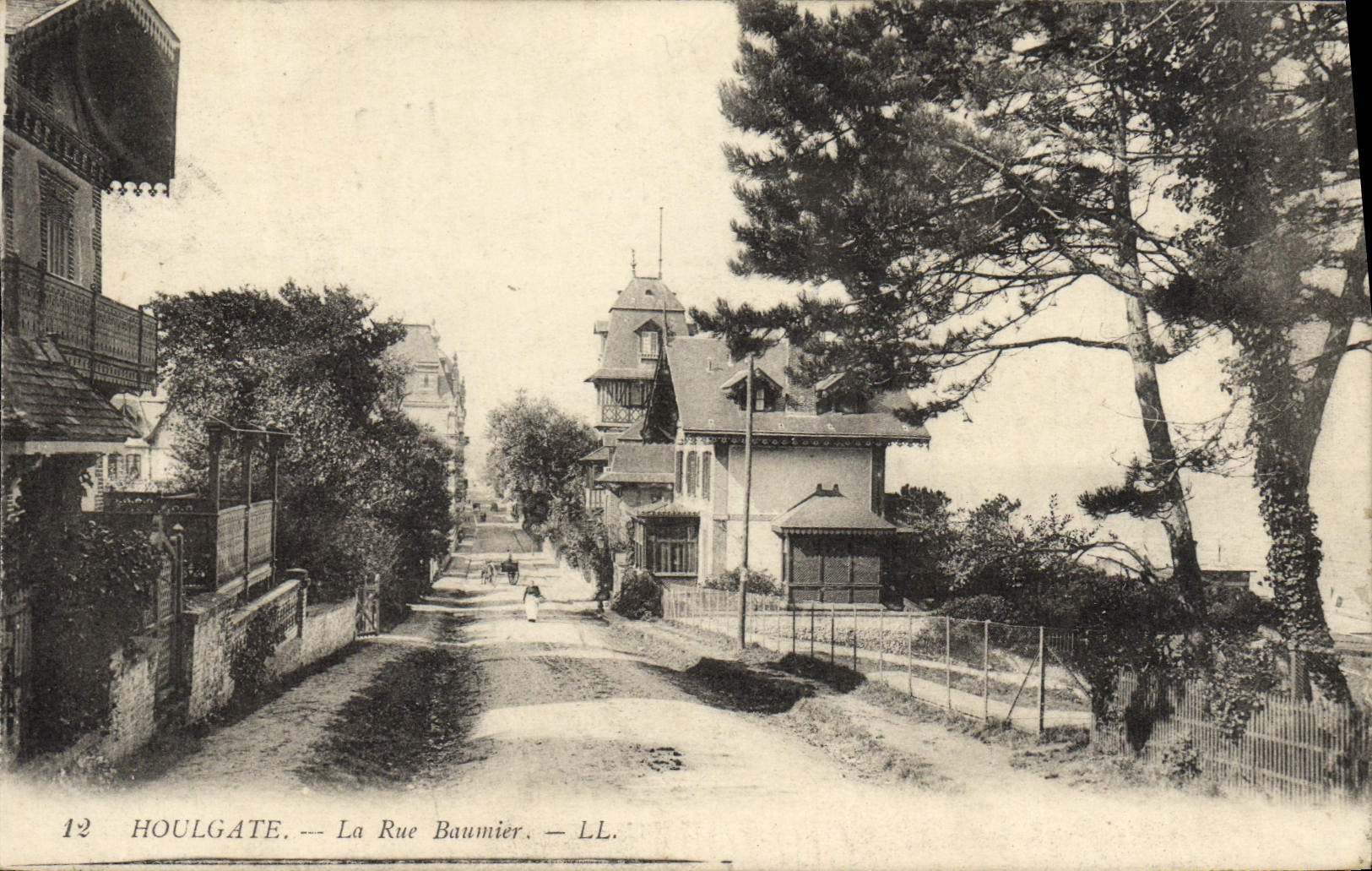 VINTAGE POSTCARD Houlgate the Street Balsam tree