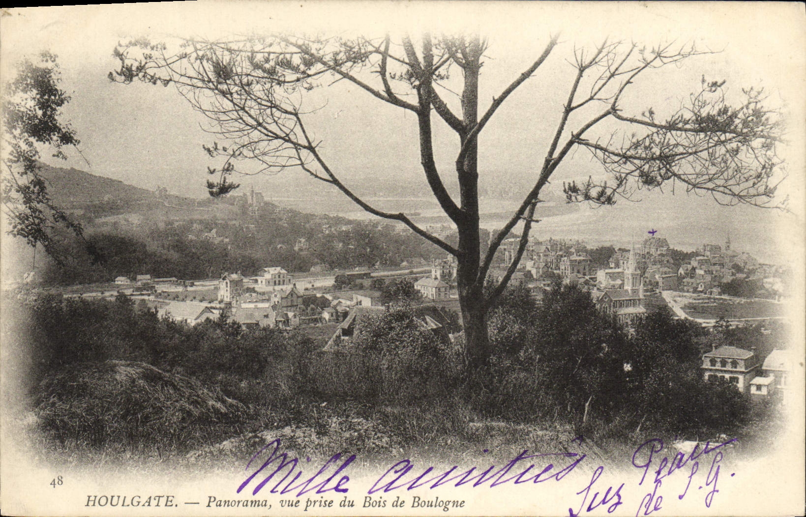 VINTAGE POSTCARD Houlgate Panorama Seen from of the Bois de Boulogne
