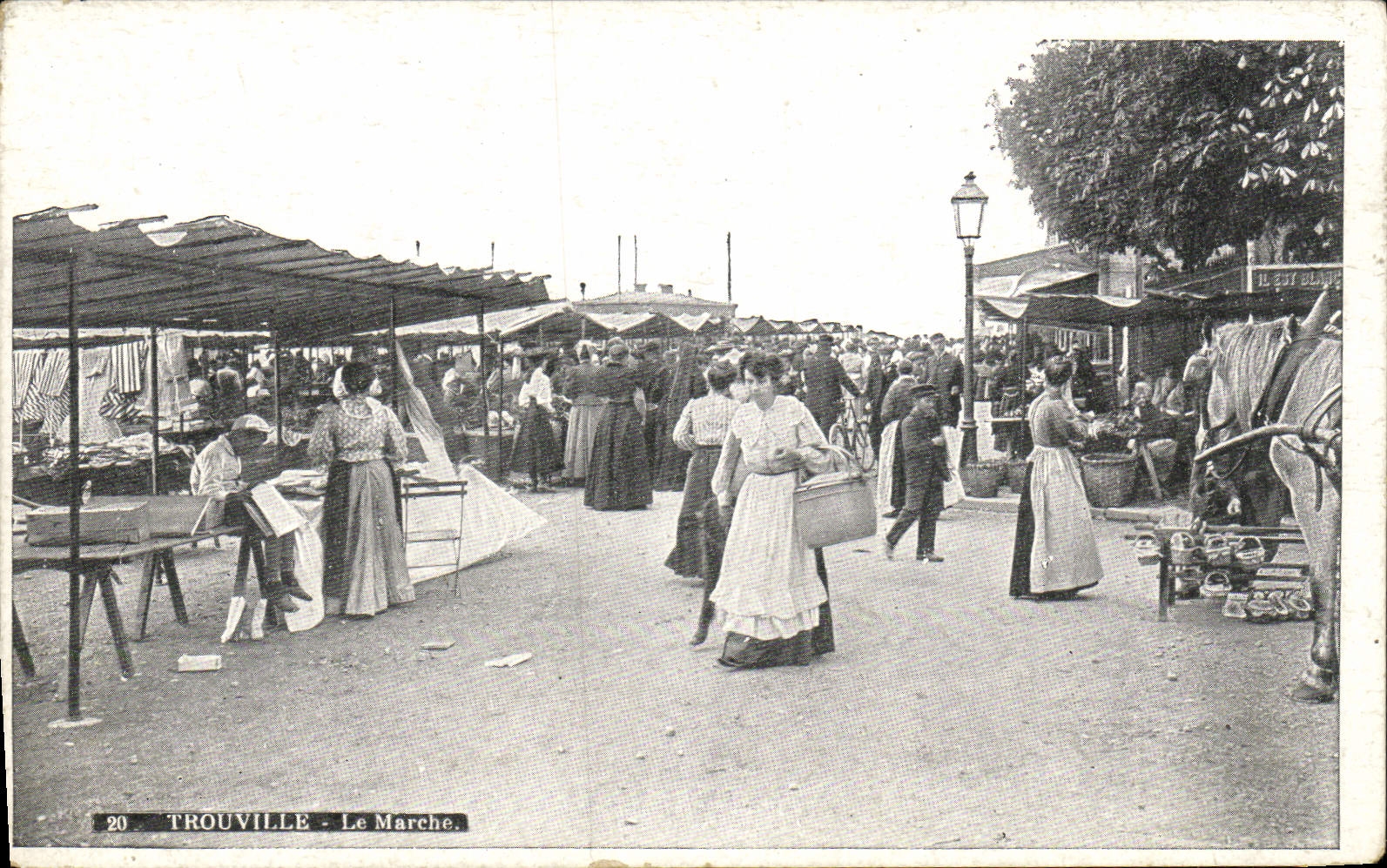 CPA Trouville Le marche