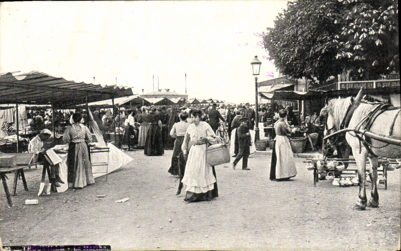 CPA Trouville Le marche Cheval